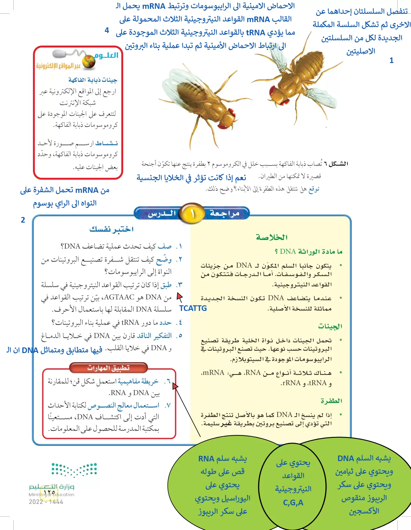 العلوم page-124