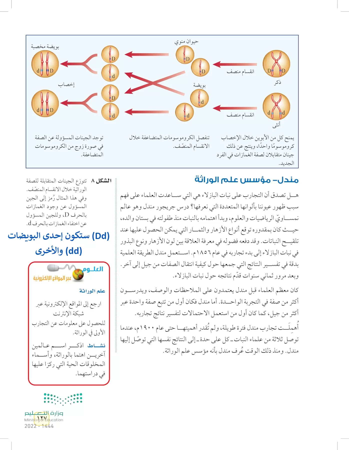 العلوم page-126