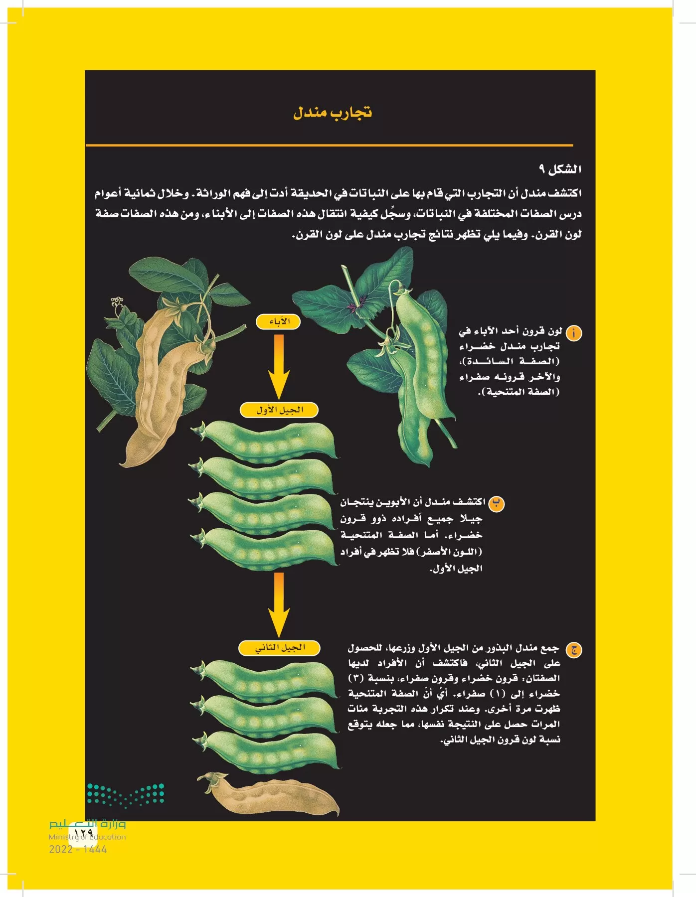 العلوم page-128