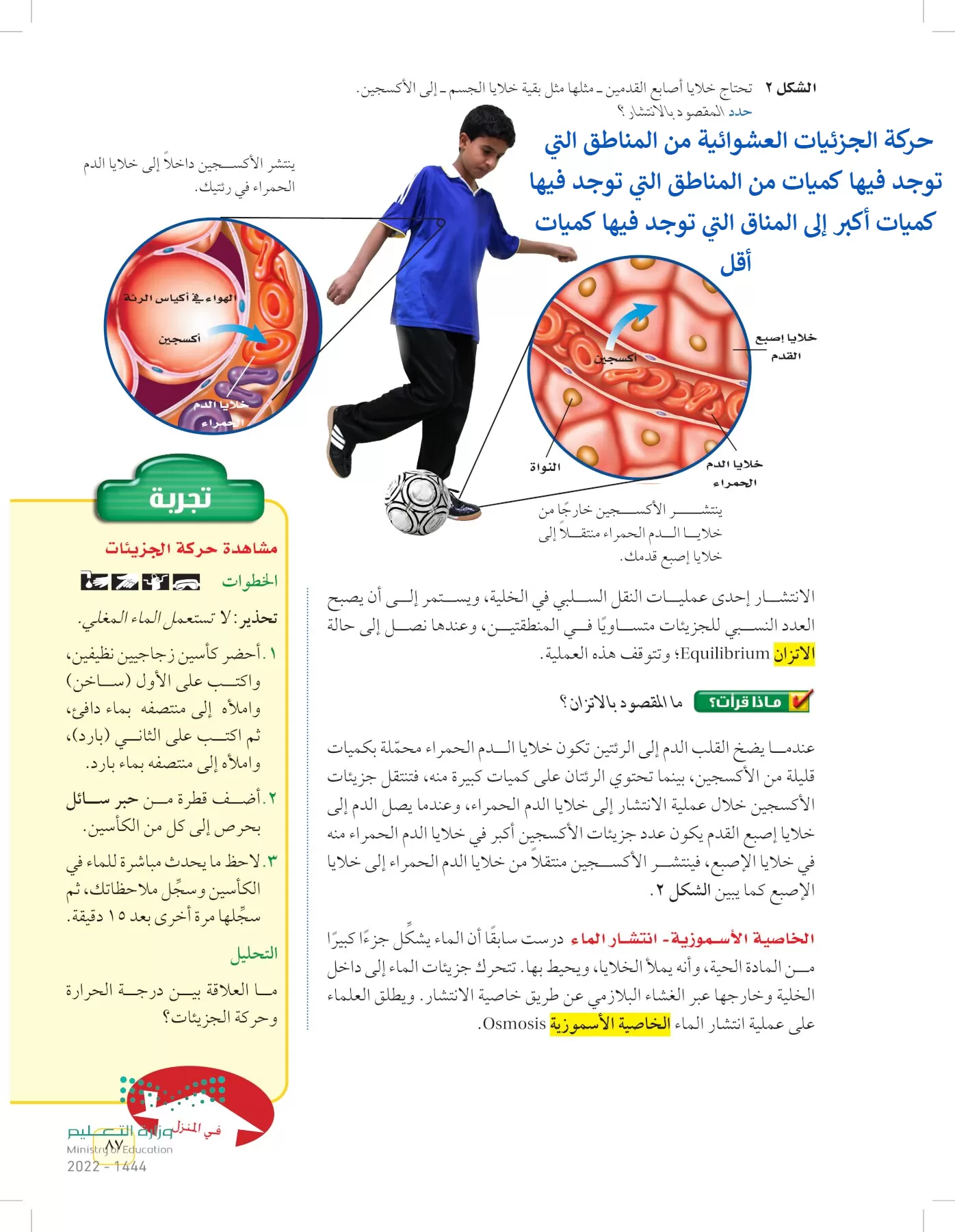 العلوم page-86