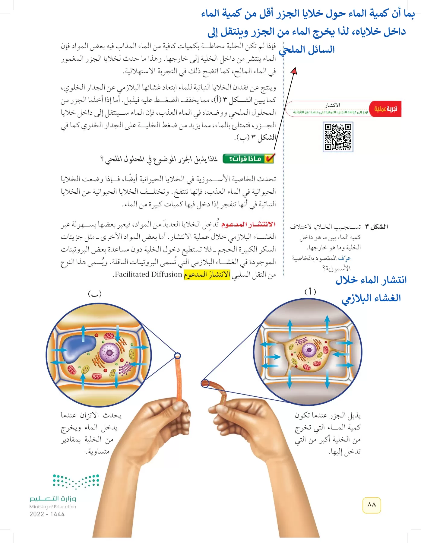 العلوم page-87