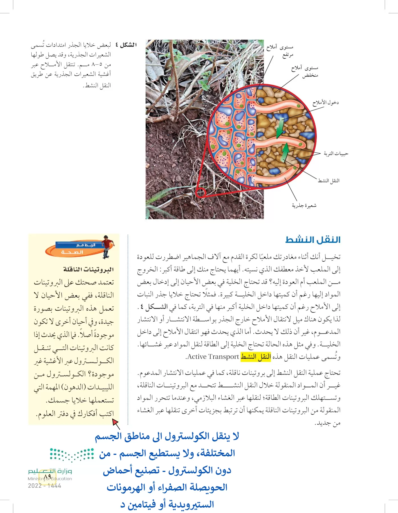 العلوم page-88