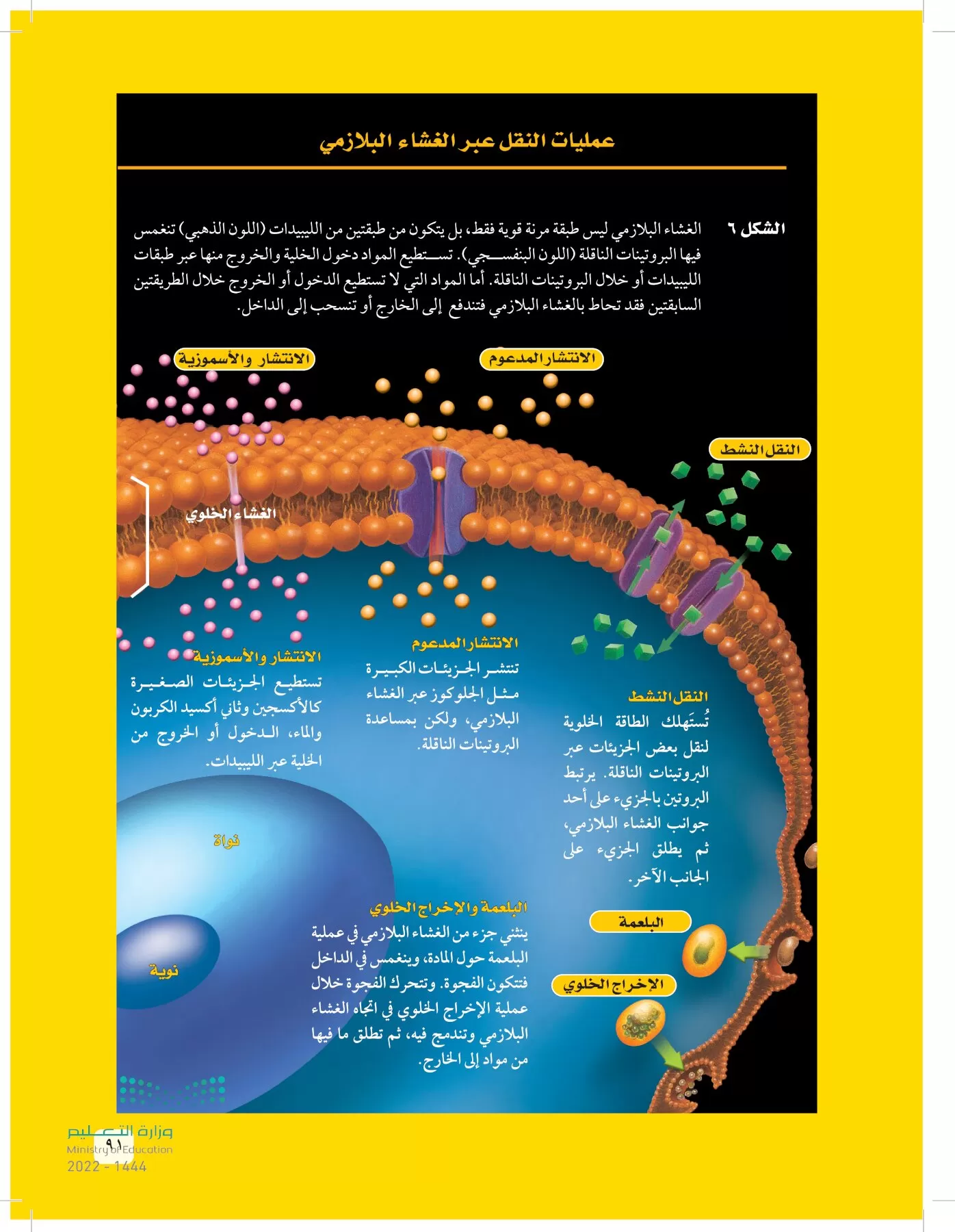 العلوم page-90