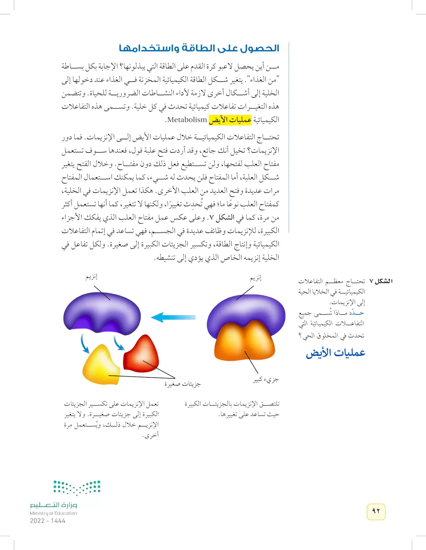 العلوم page-91