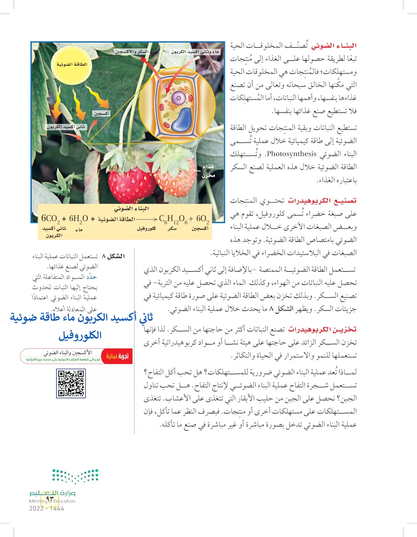 العلوم page-92