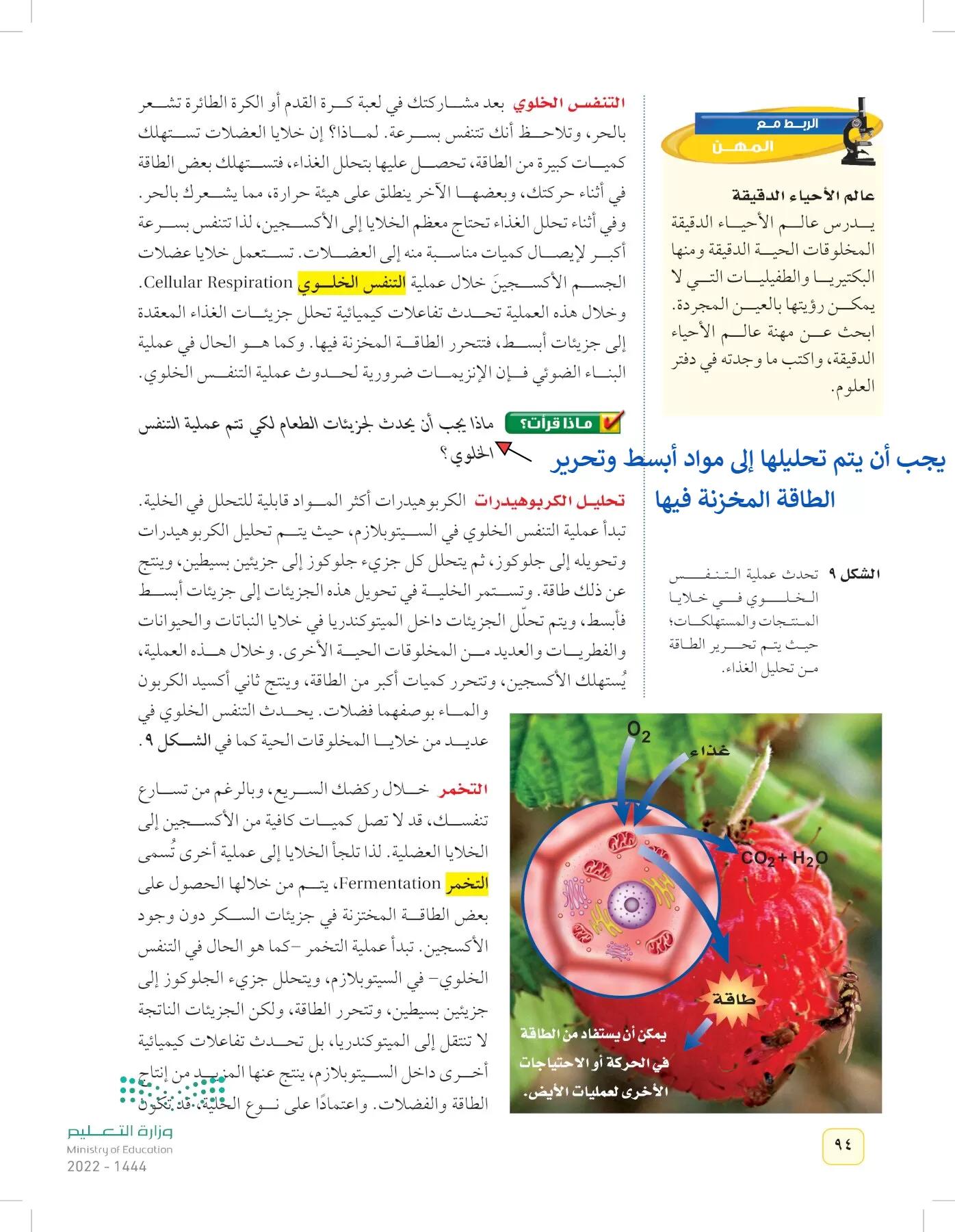 العلوم page-93