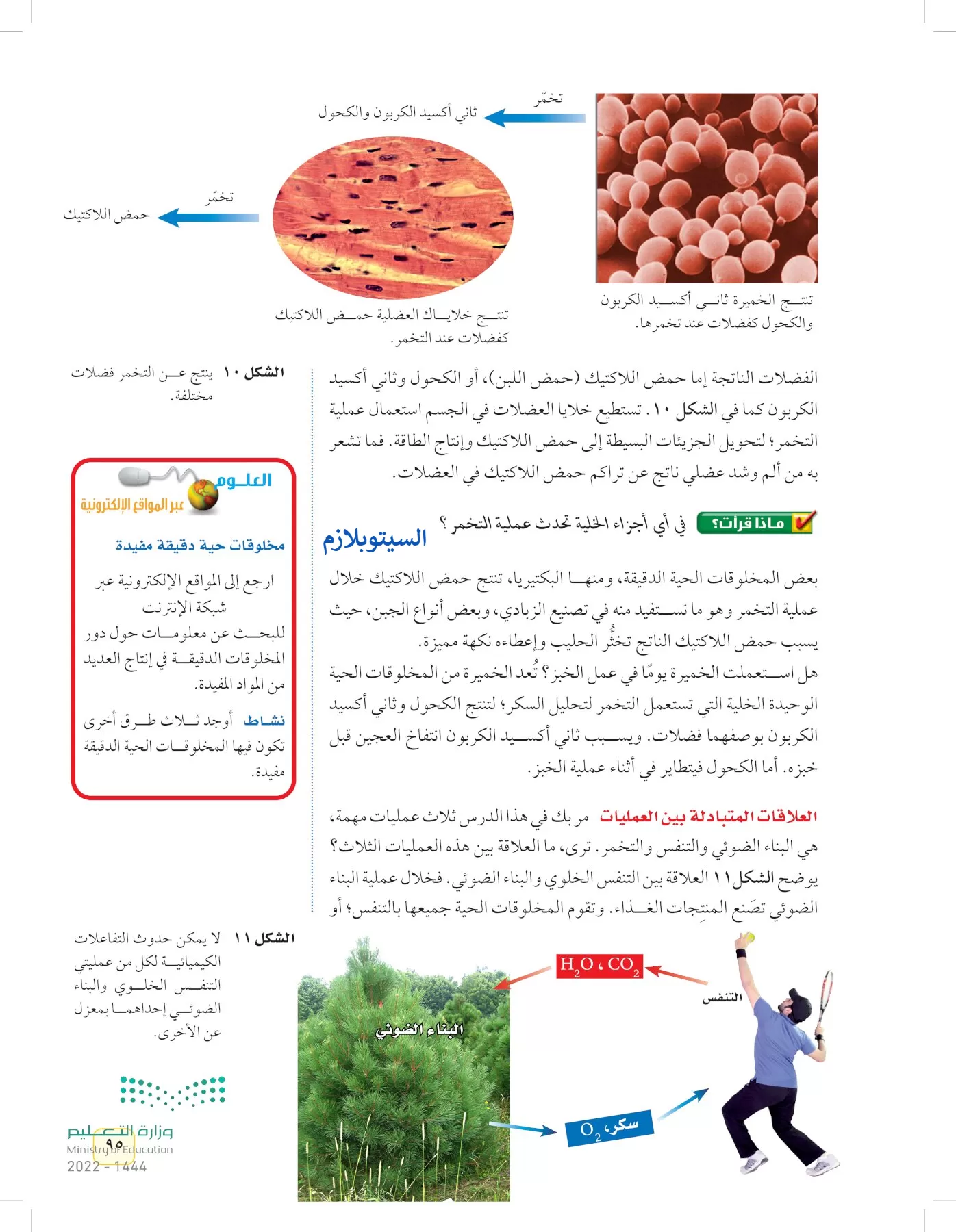 العلوم page-94