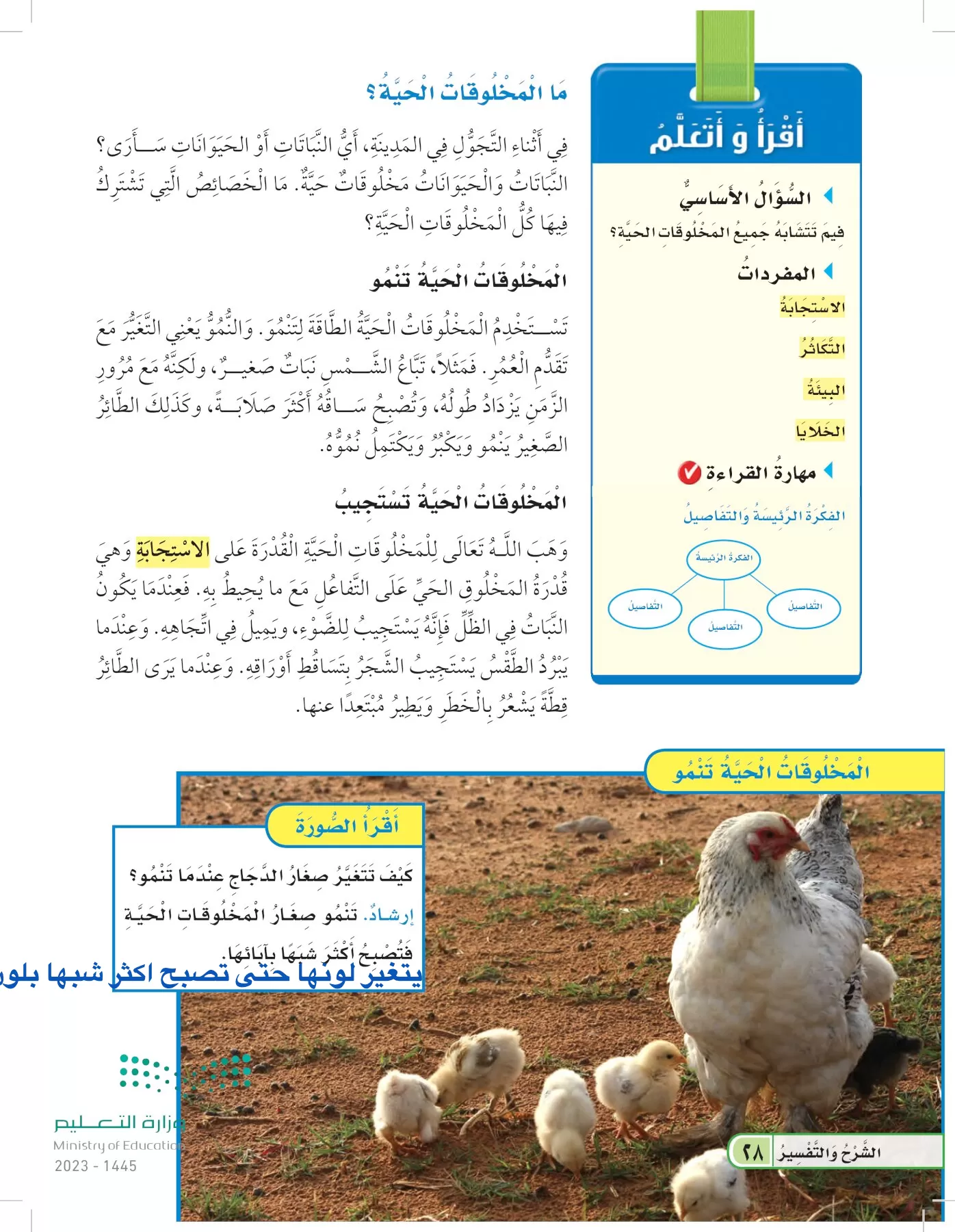 العلوم page-27