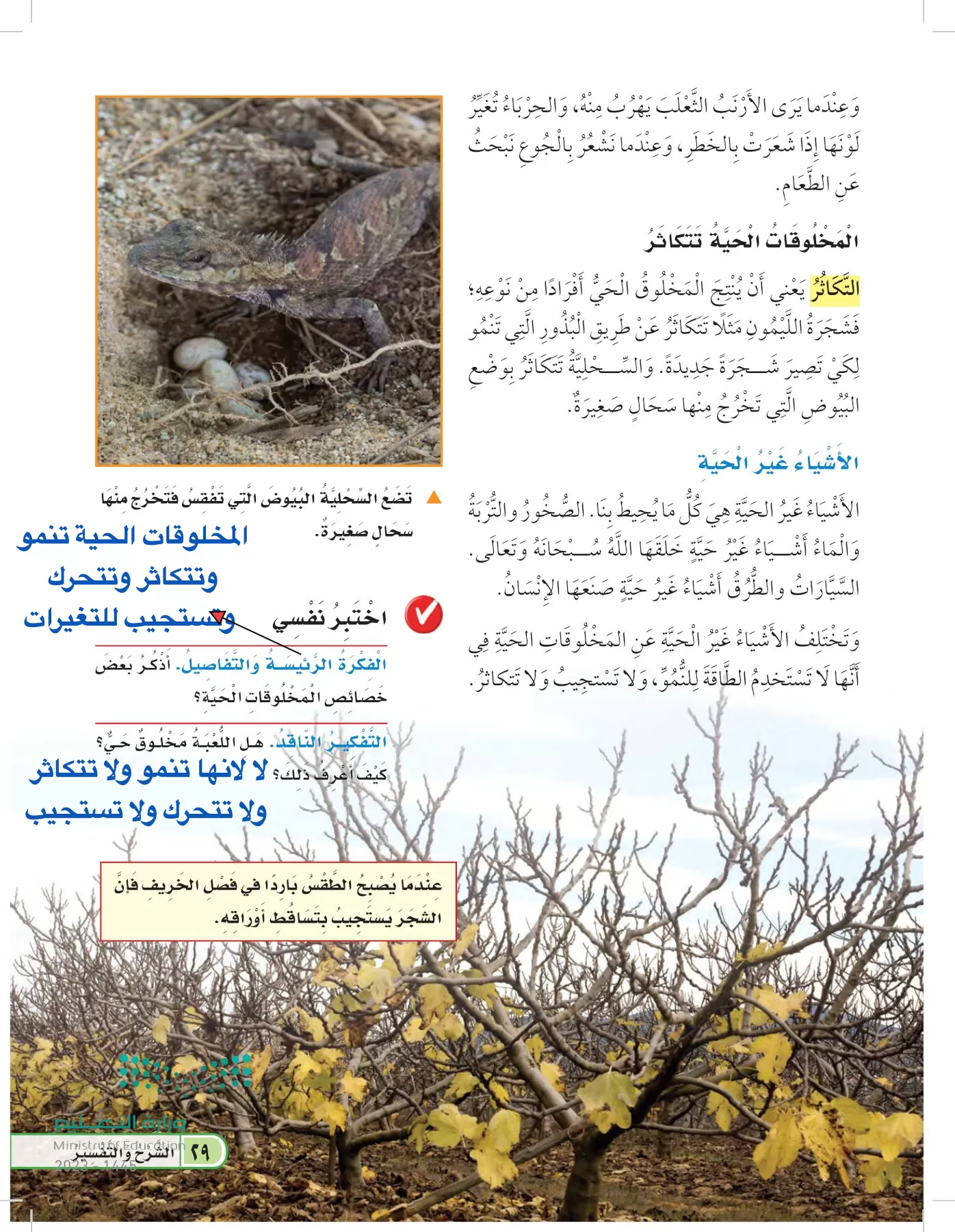 العلوم page-28