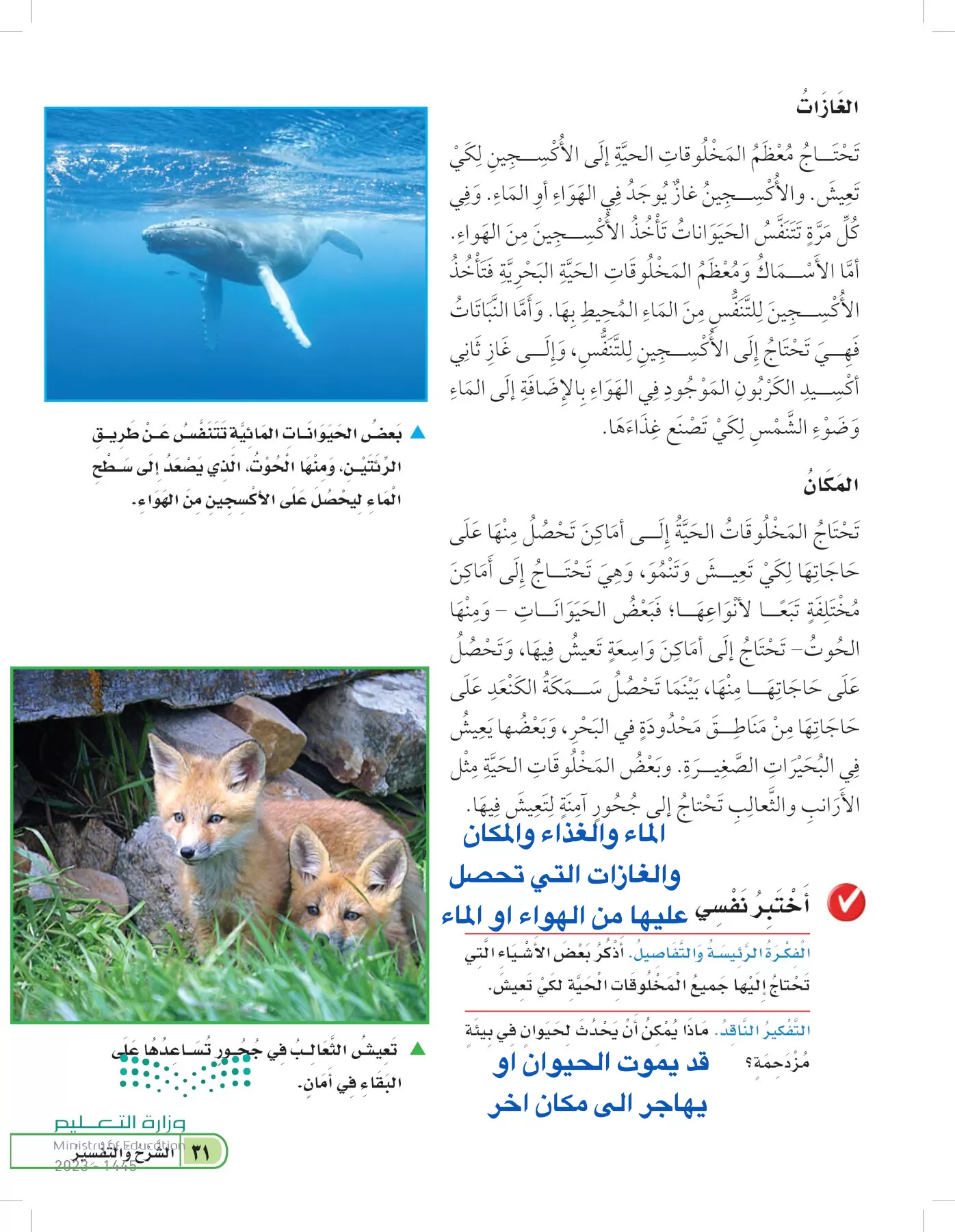 العلوم page-30