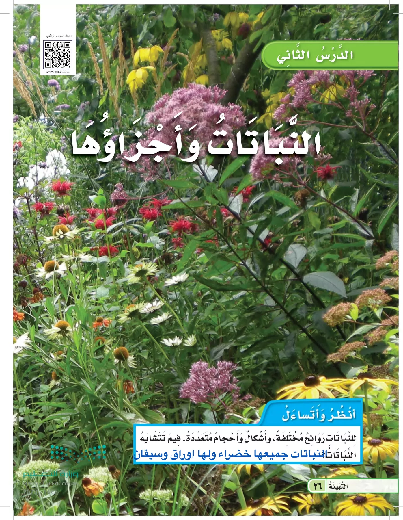 العلوم page-35