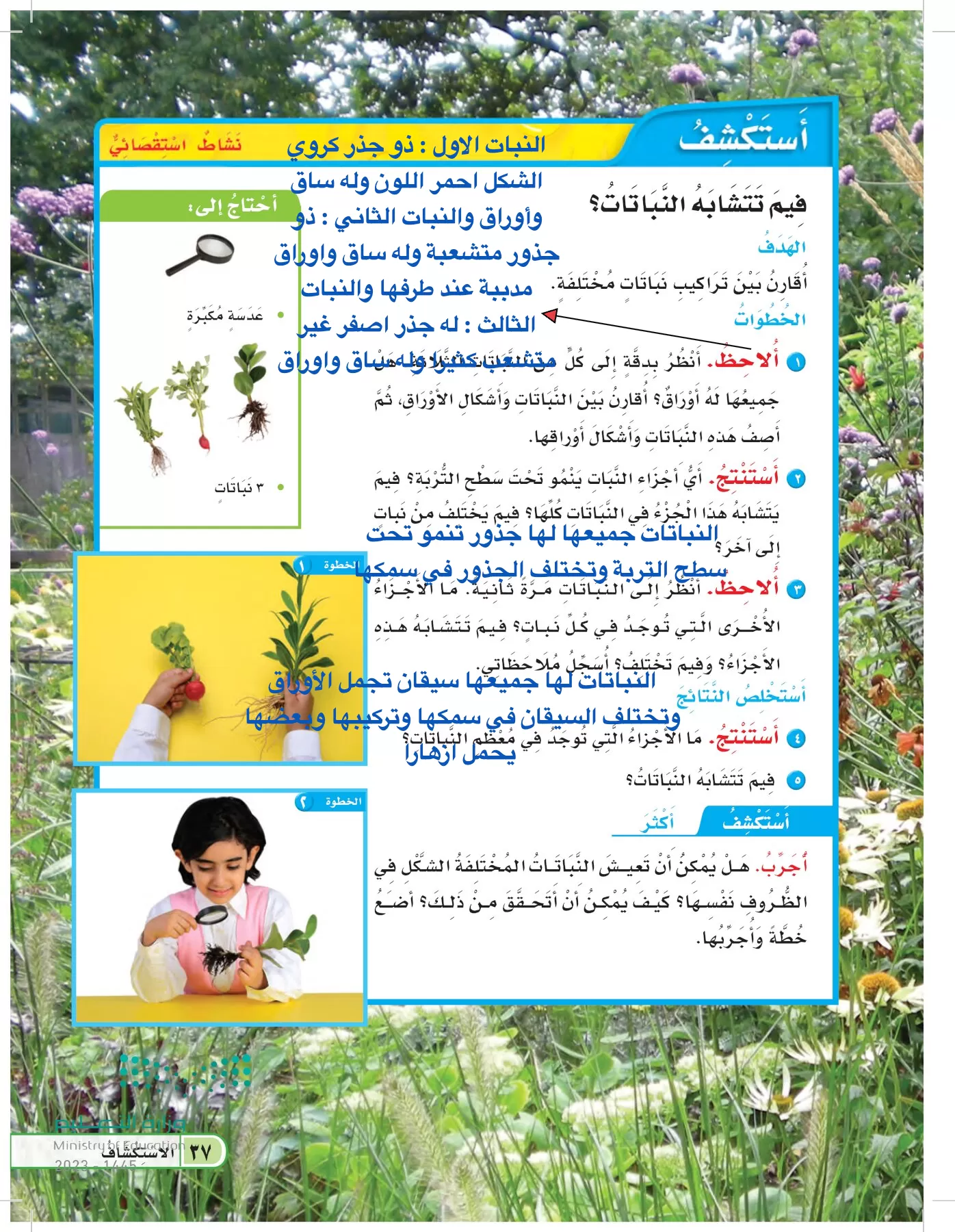 العلوم page-36