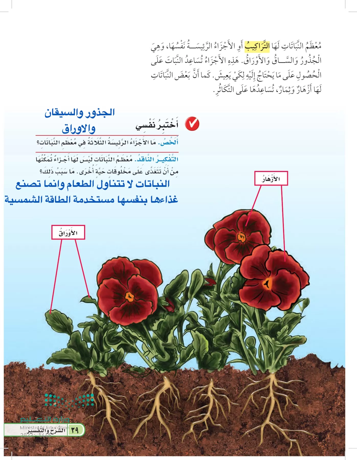 العلوم page-38