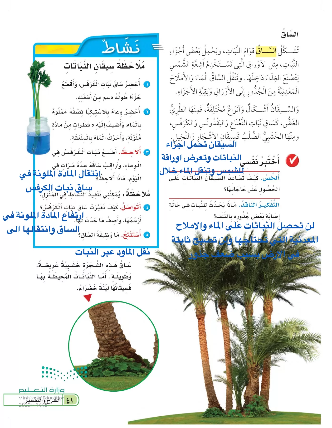 العلوم page-40