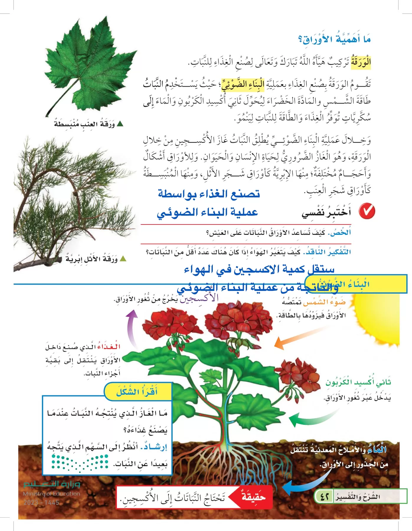 العلوم page-41