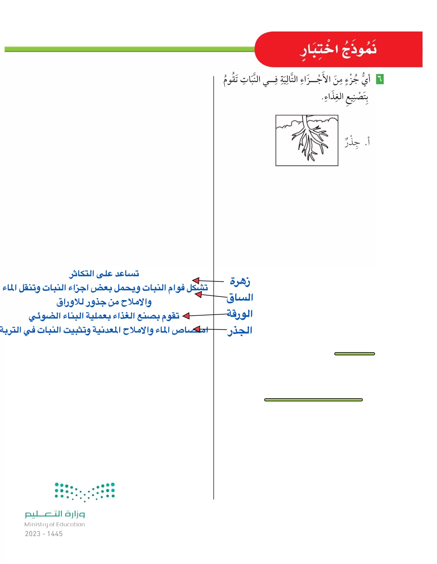 العلوم page-48