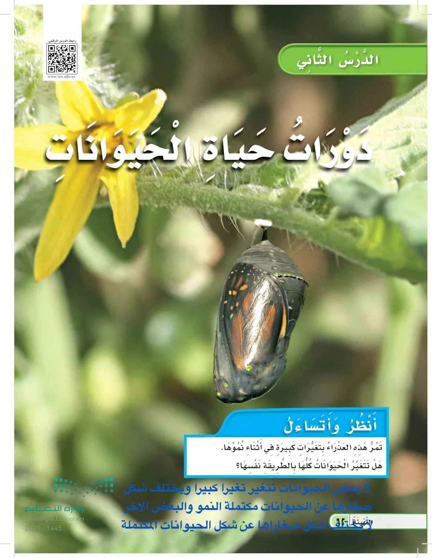 العلوم page-61