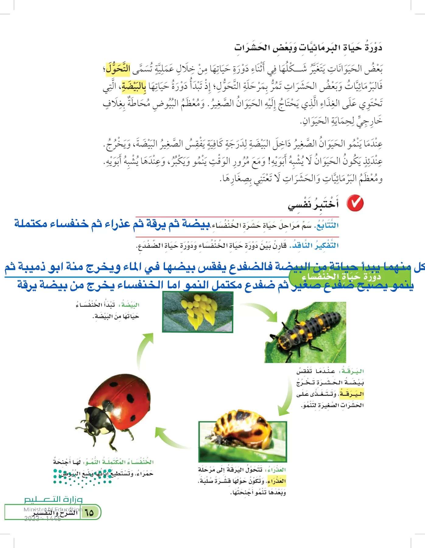 العلوم page-64