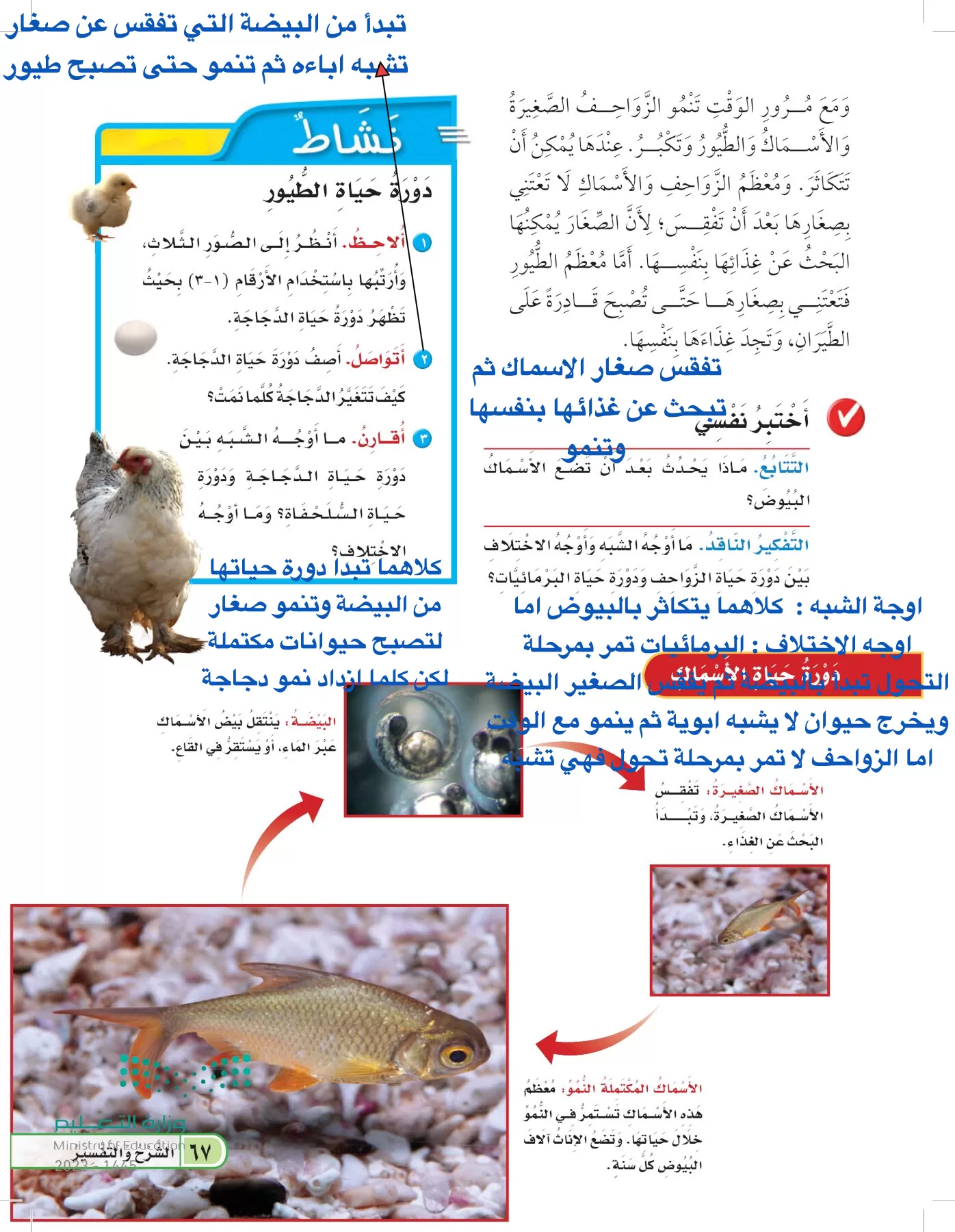 العلوم page-66