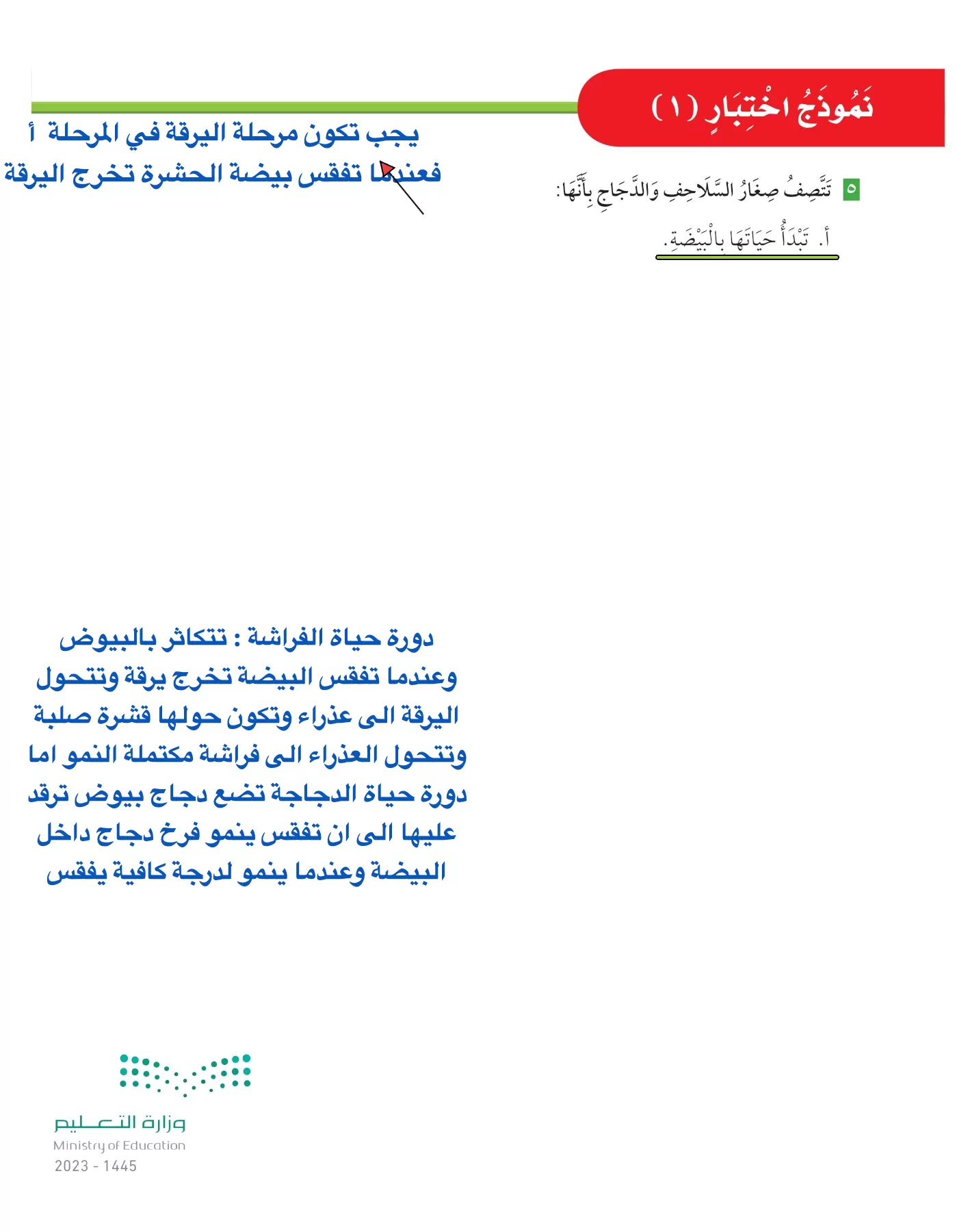 العلوم page-73