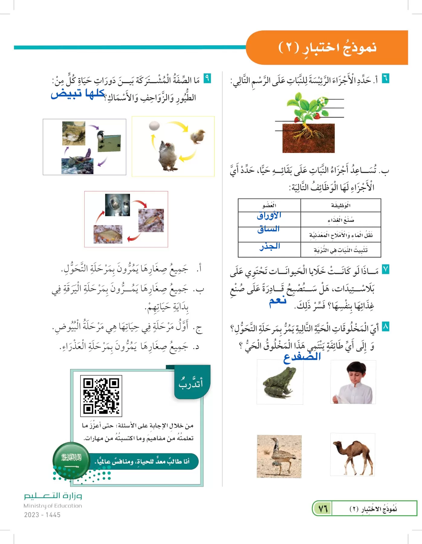 العلوم page-75