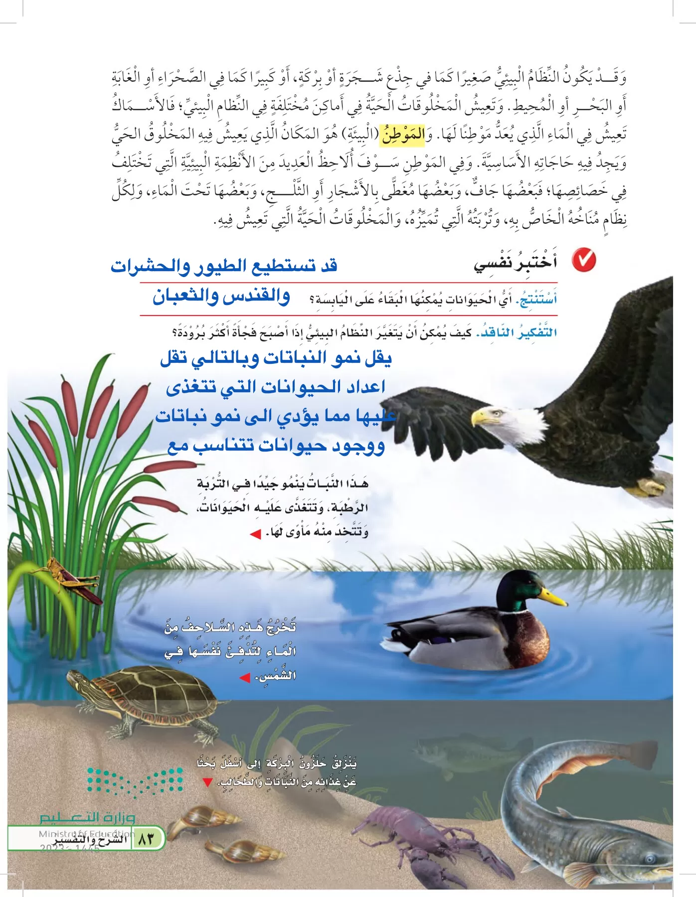 العلوم page-82