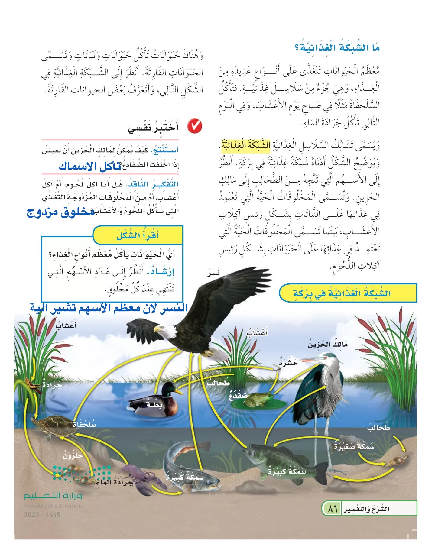 العلوم page-85