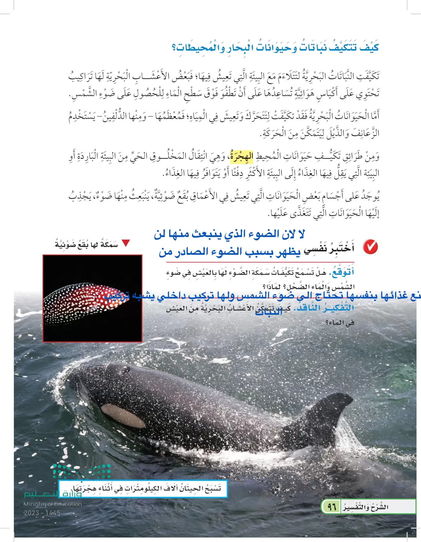 العلوم page-95