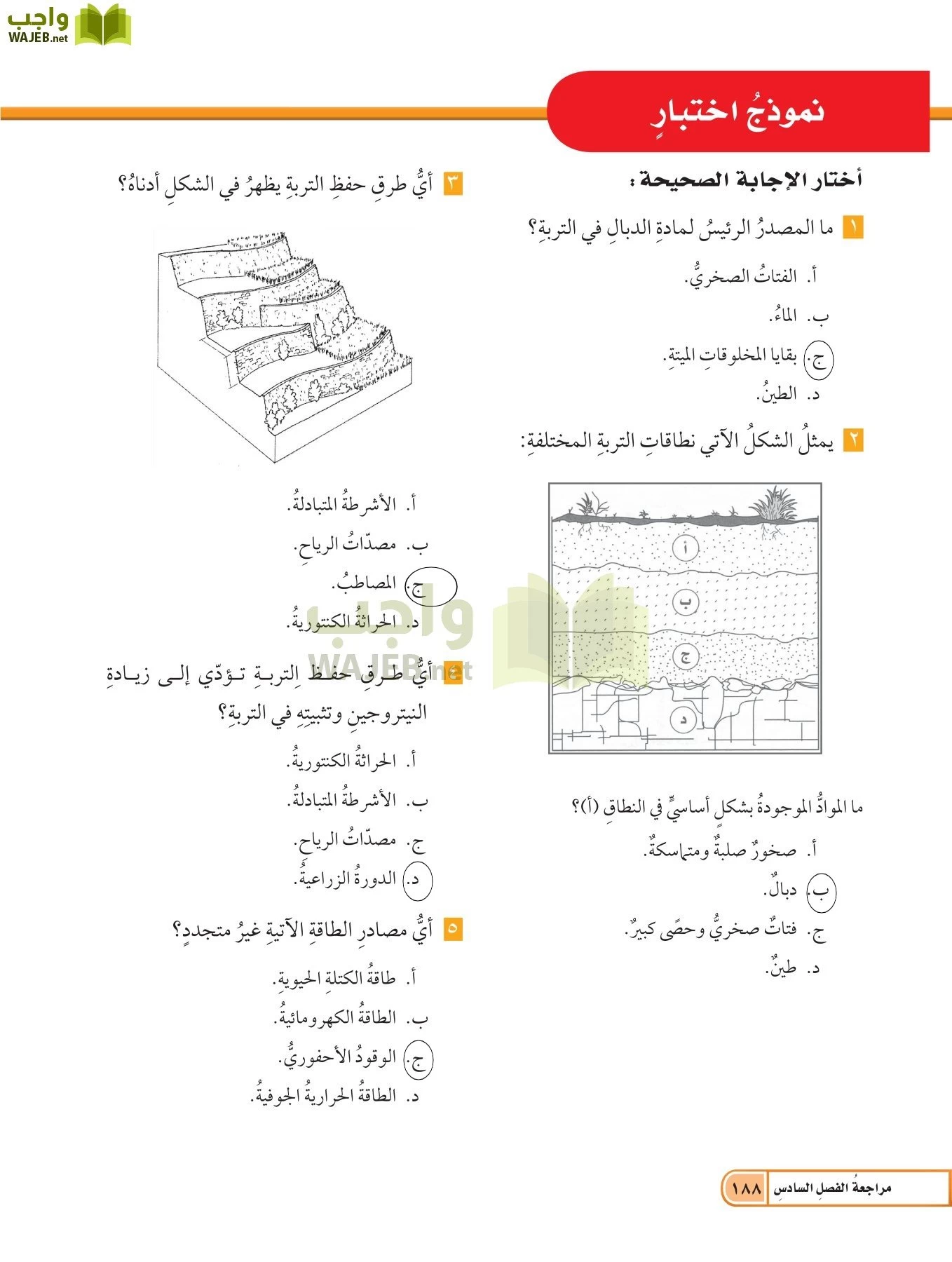 ما الاشرطة المتبادلة