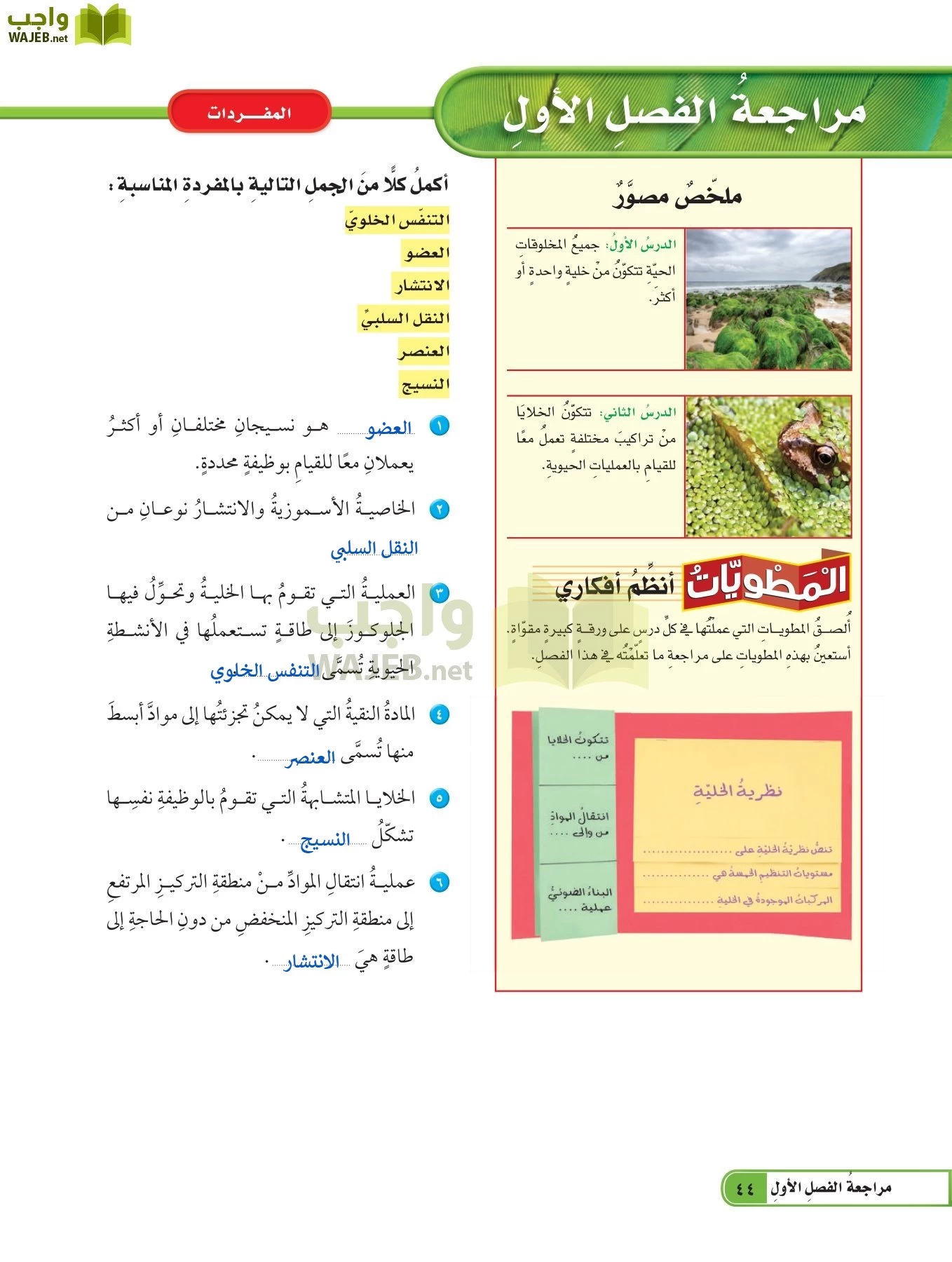 التي تشكل مجموعة نفسها تقوم معا المتشابهة الخلايا بالوظيفة مجموعة الخلايا