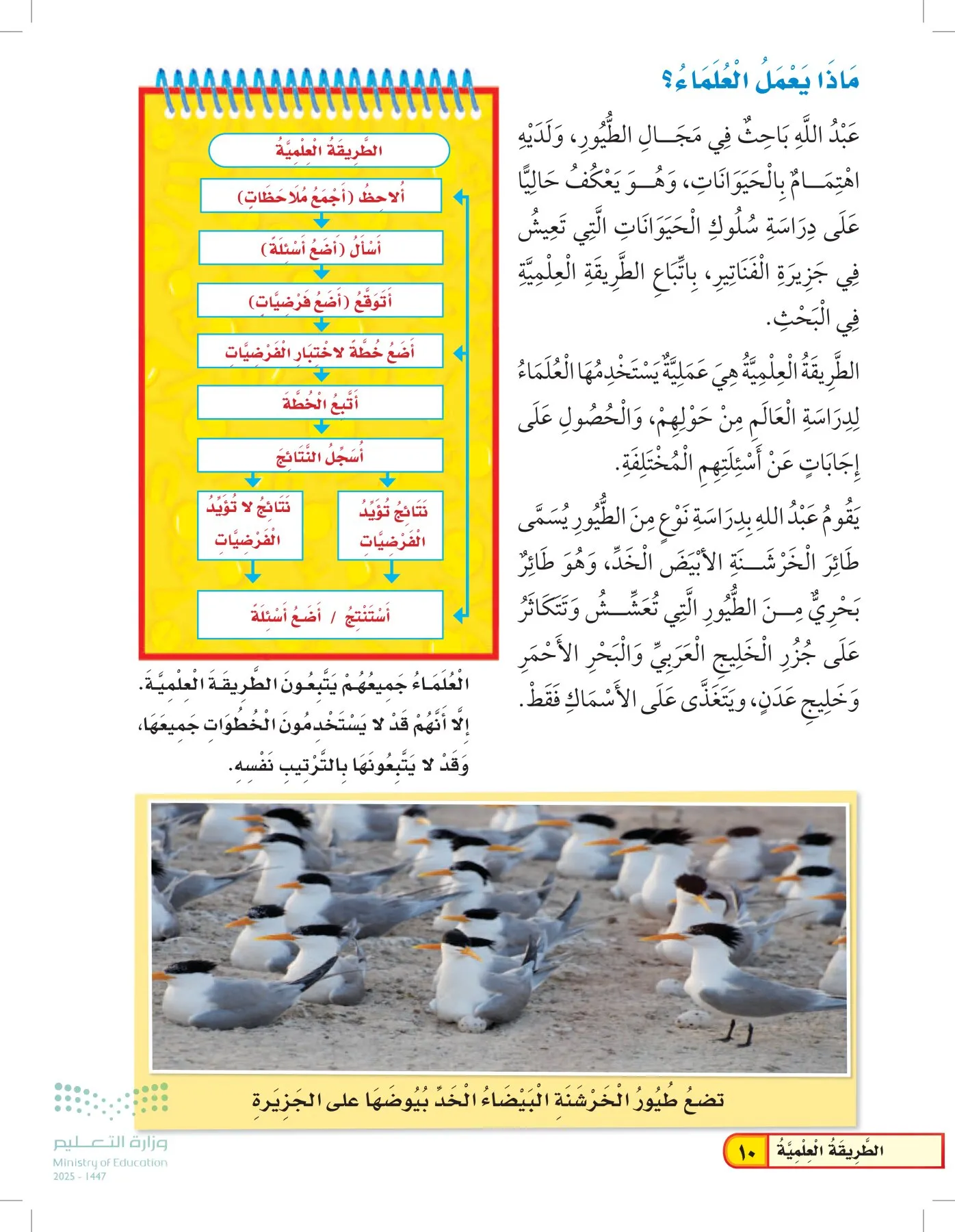 العلوم page-9