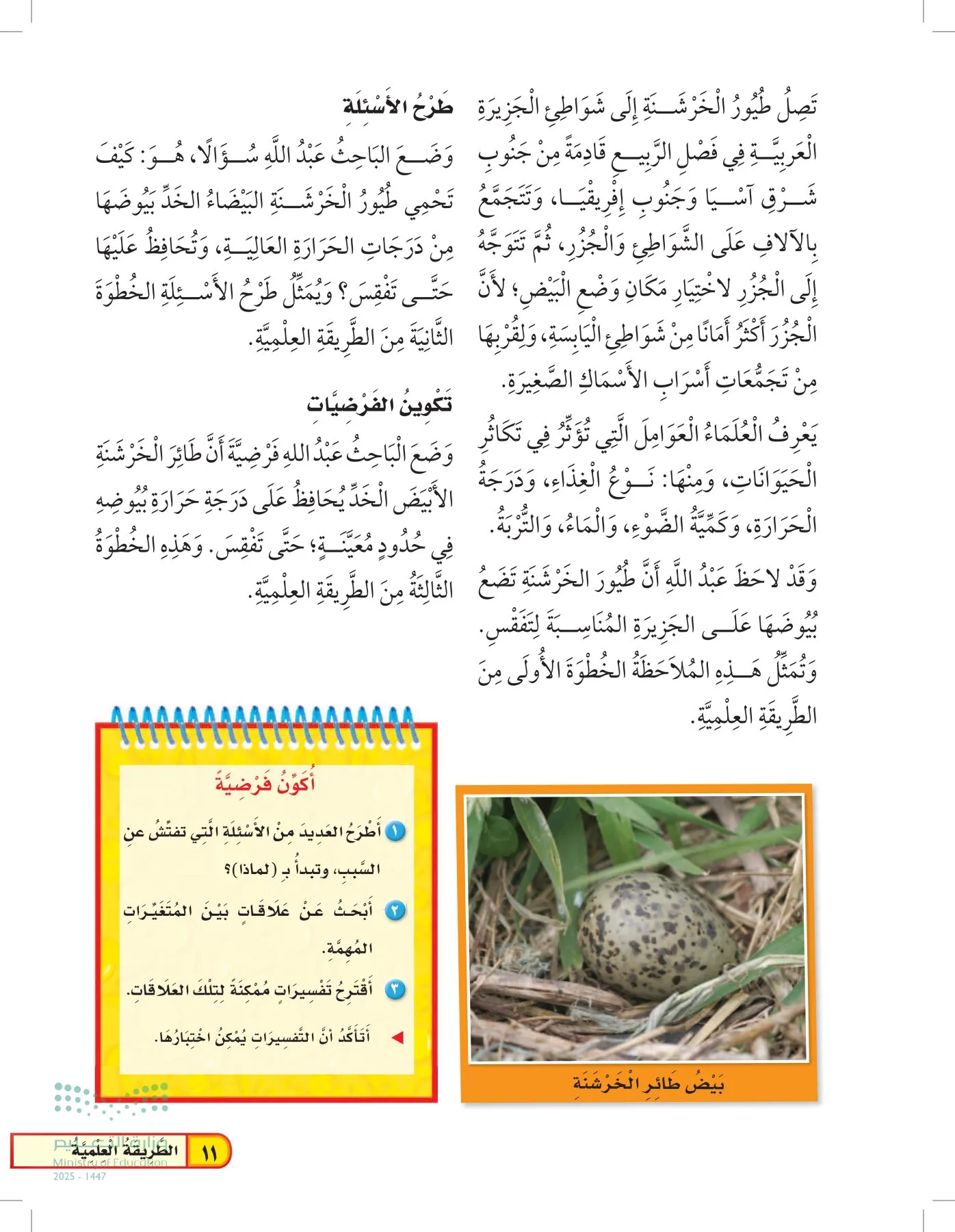 العلوم page-10