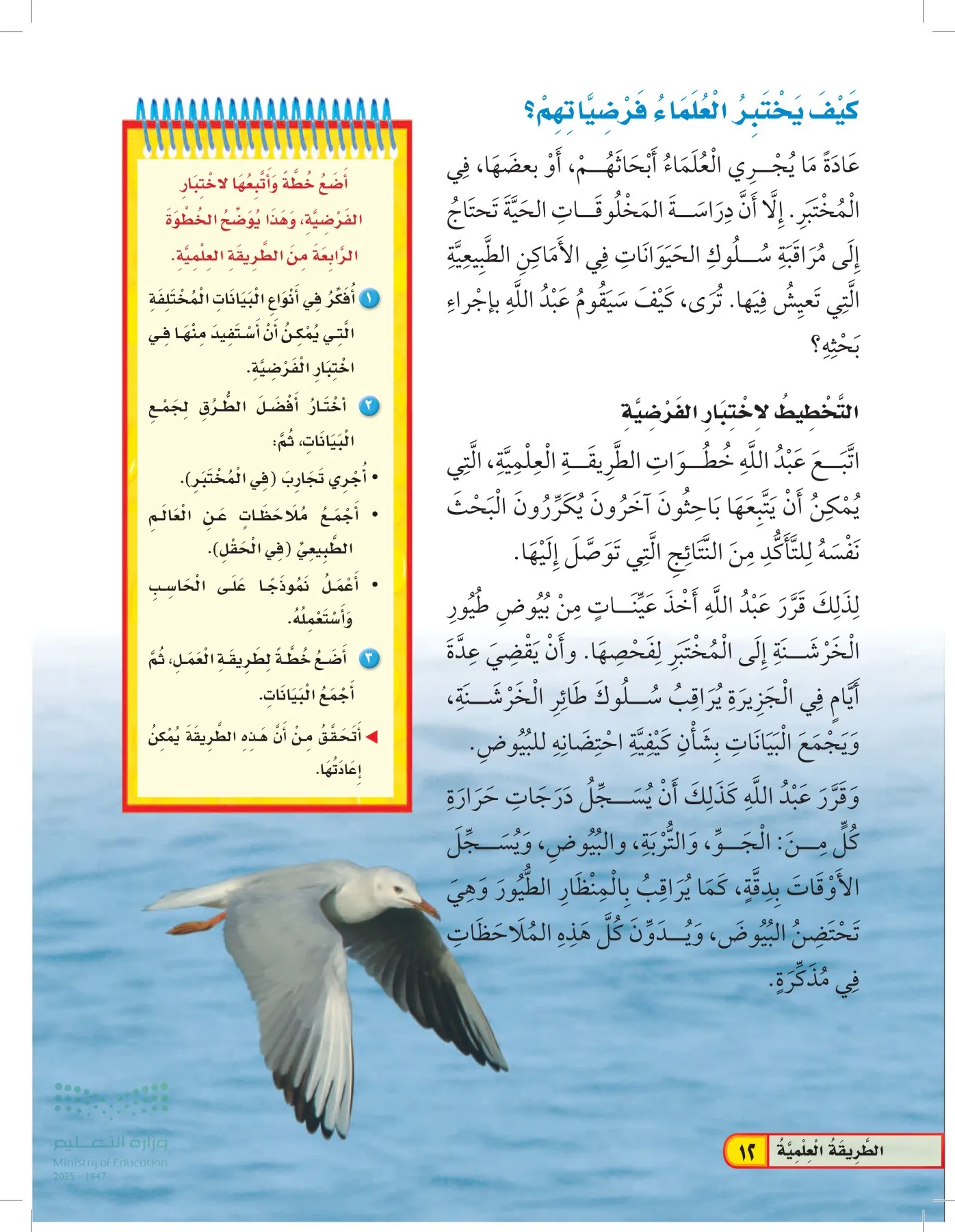 العلوم page-11