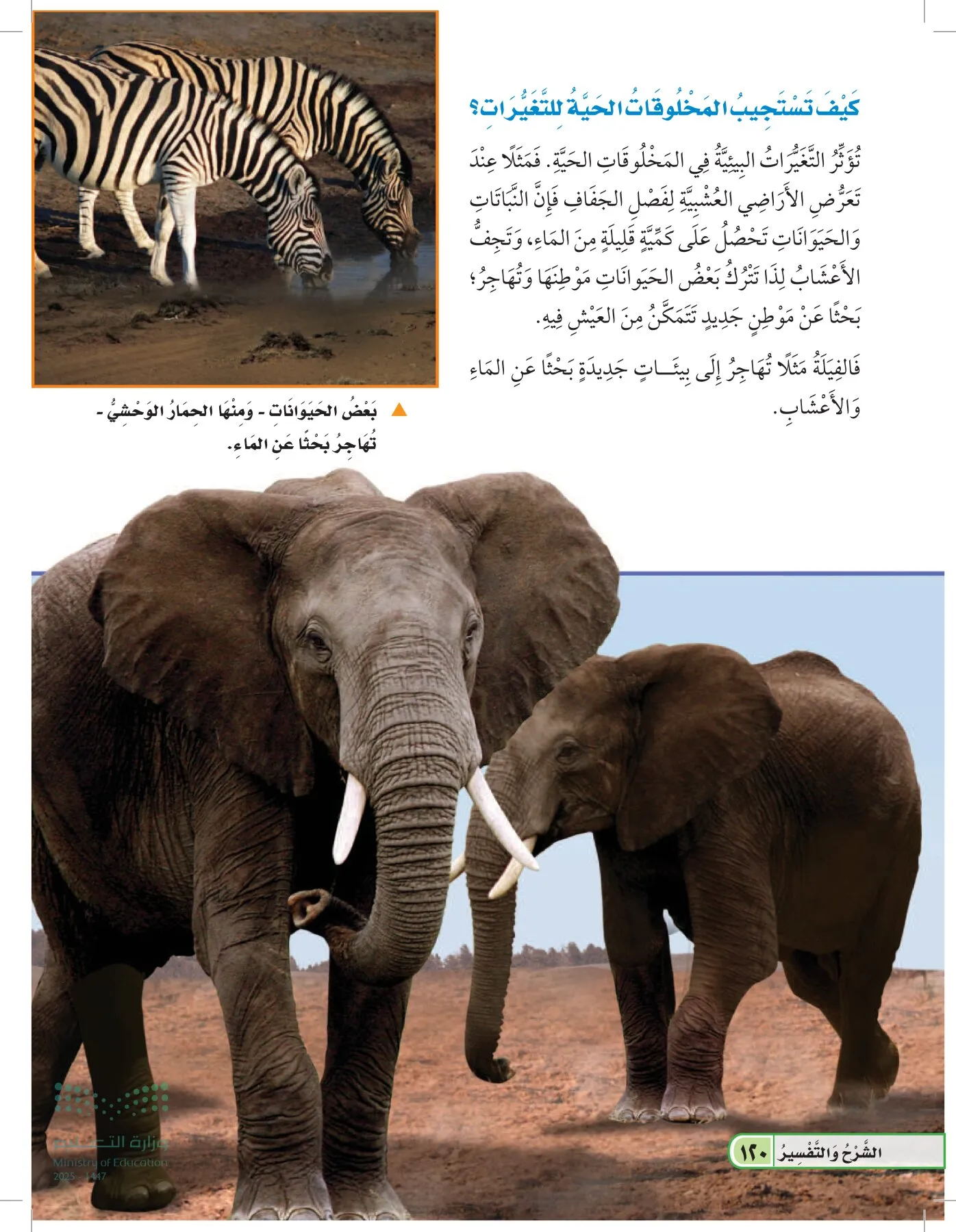 العلوم page-119