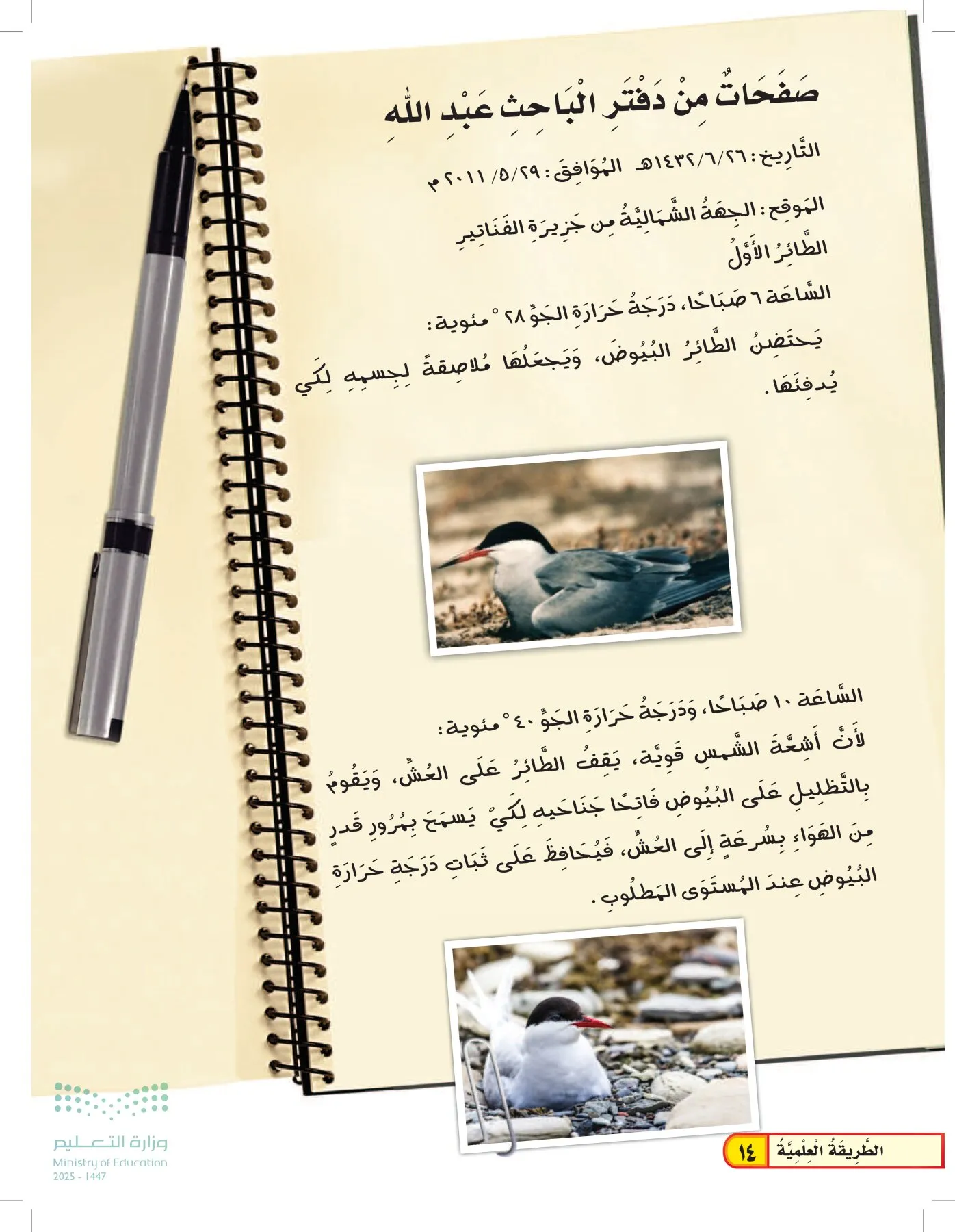 العلوم page-13