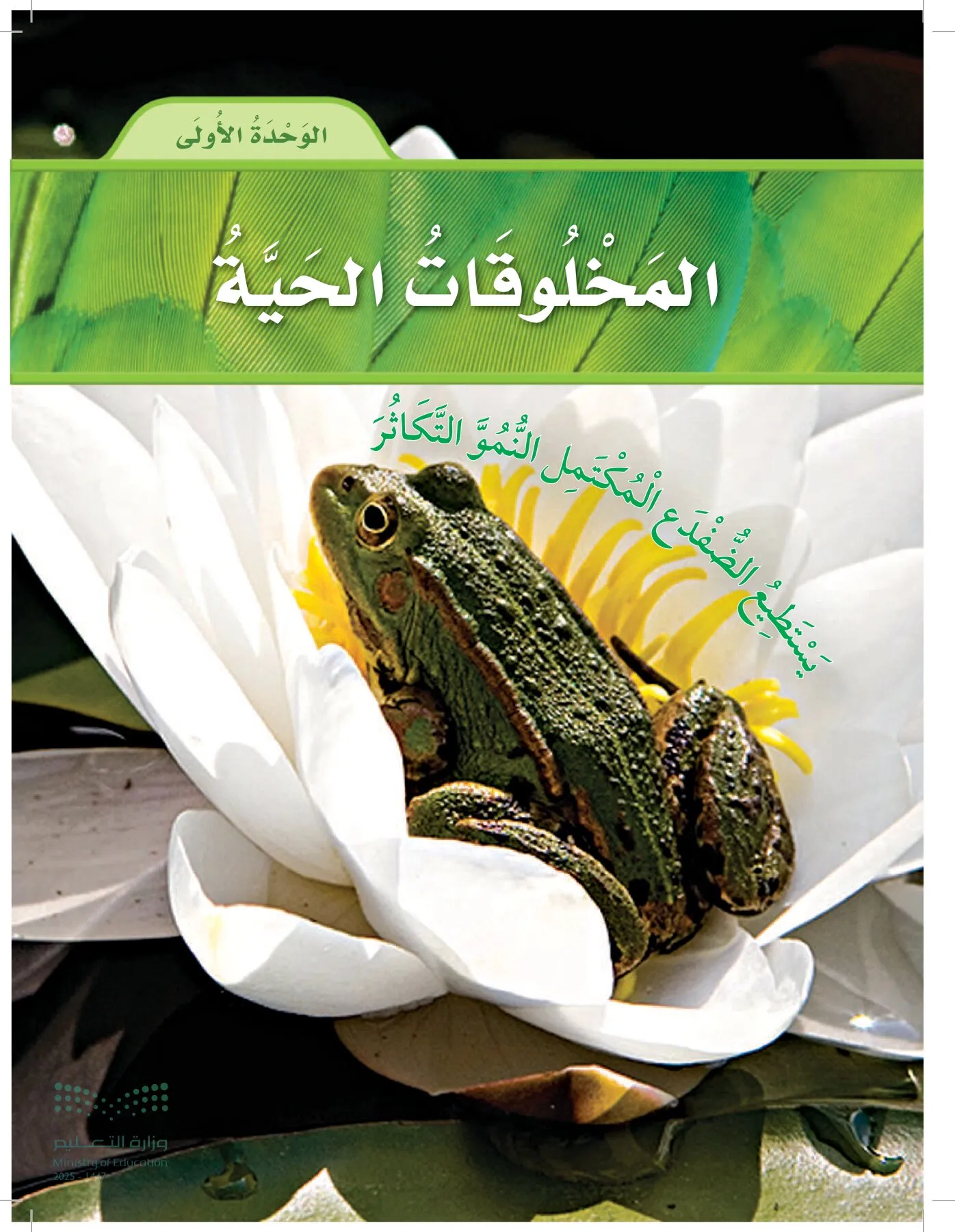 العلوم page-22