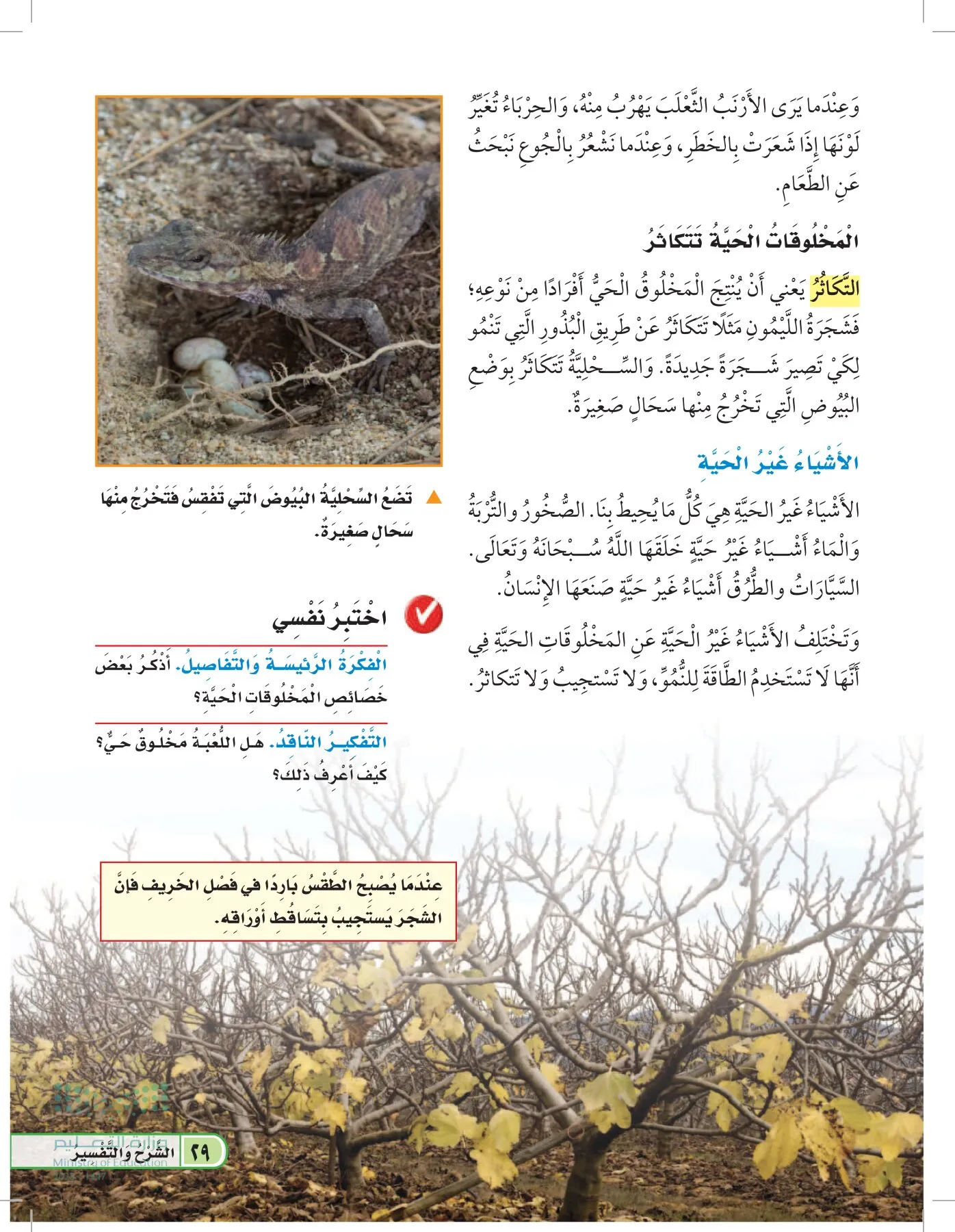 العلوم page-28