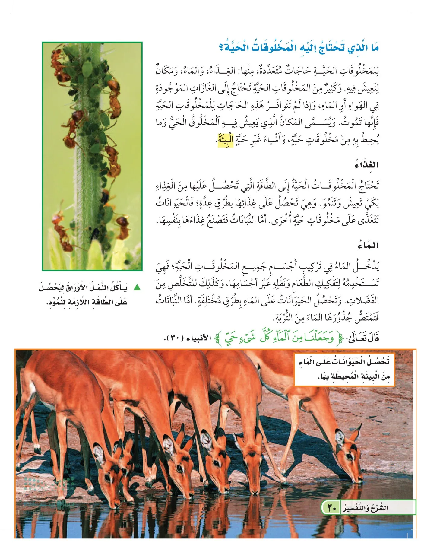 العلوم page-29