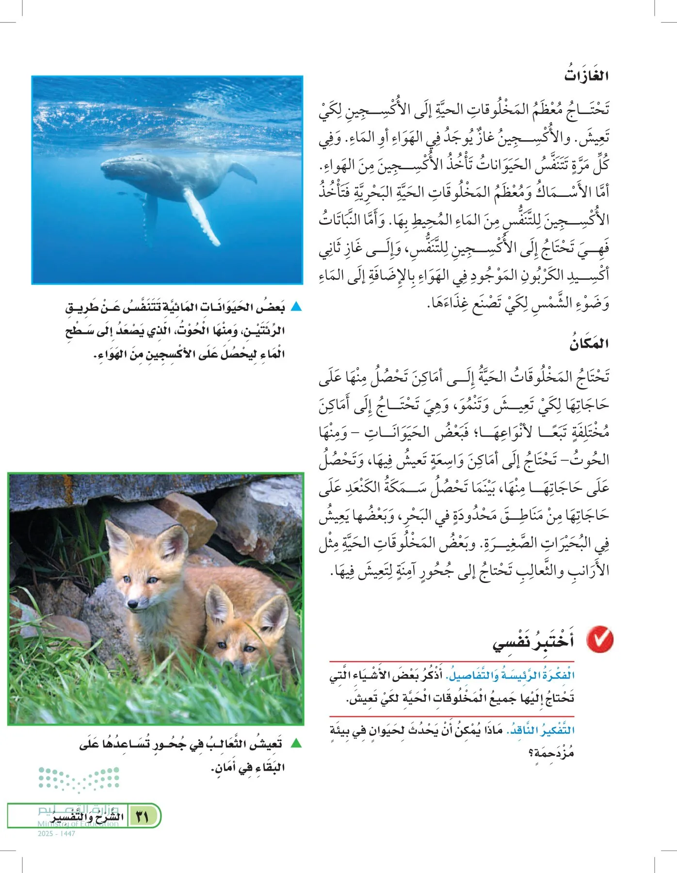 العلوم page-30