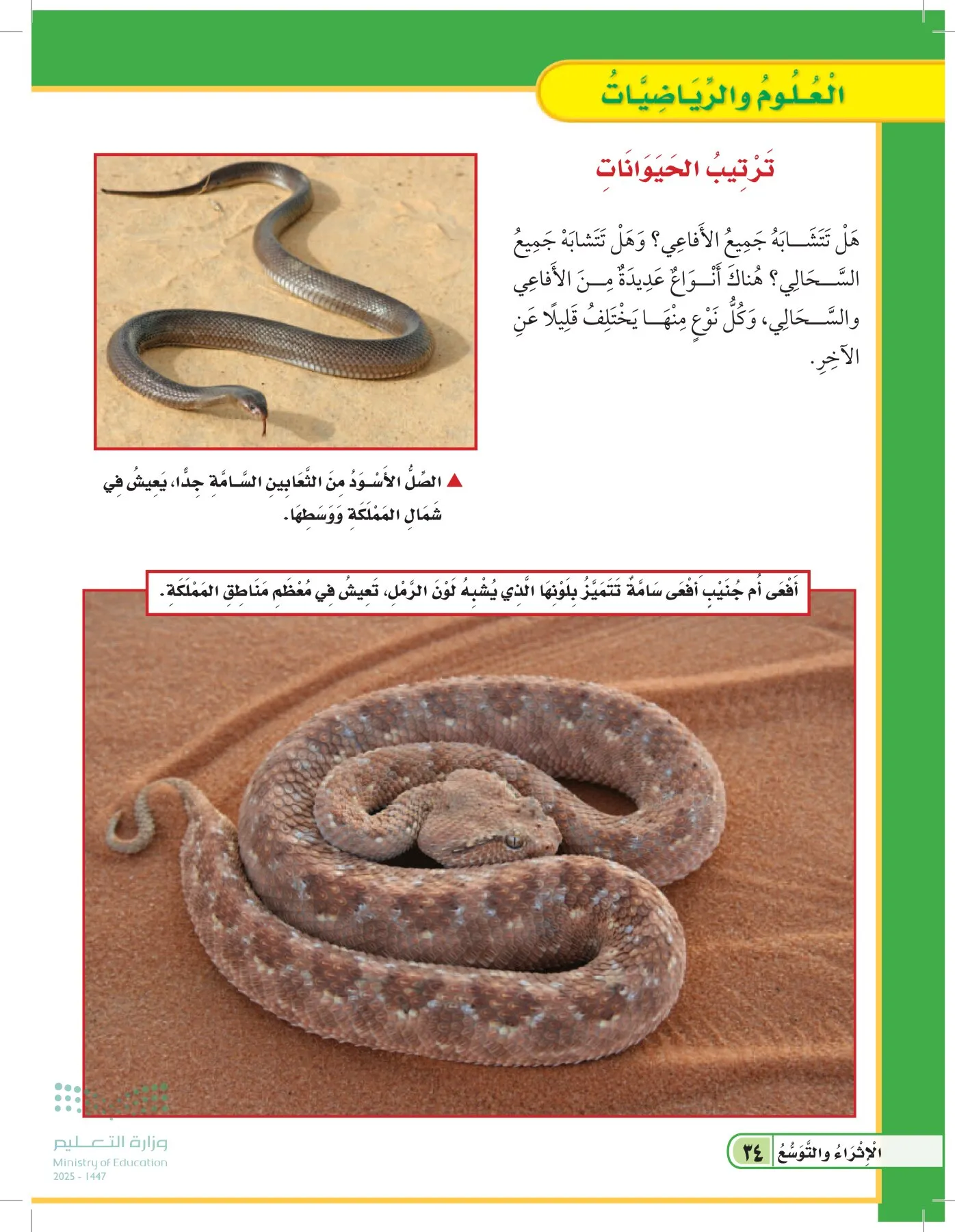العلوم page-33