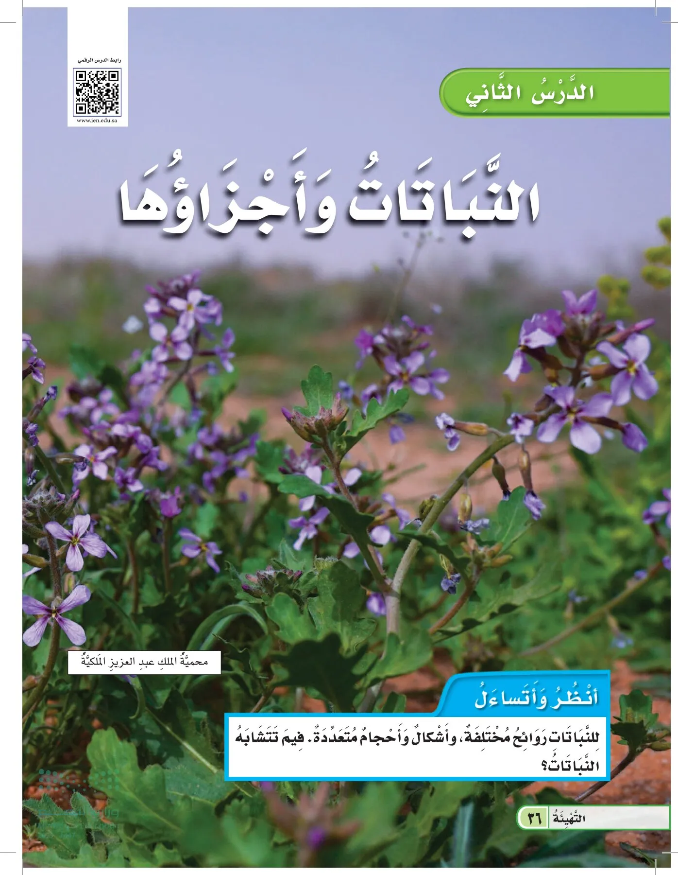 العلوم page-35