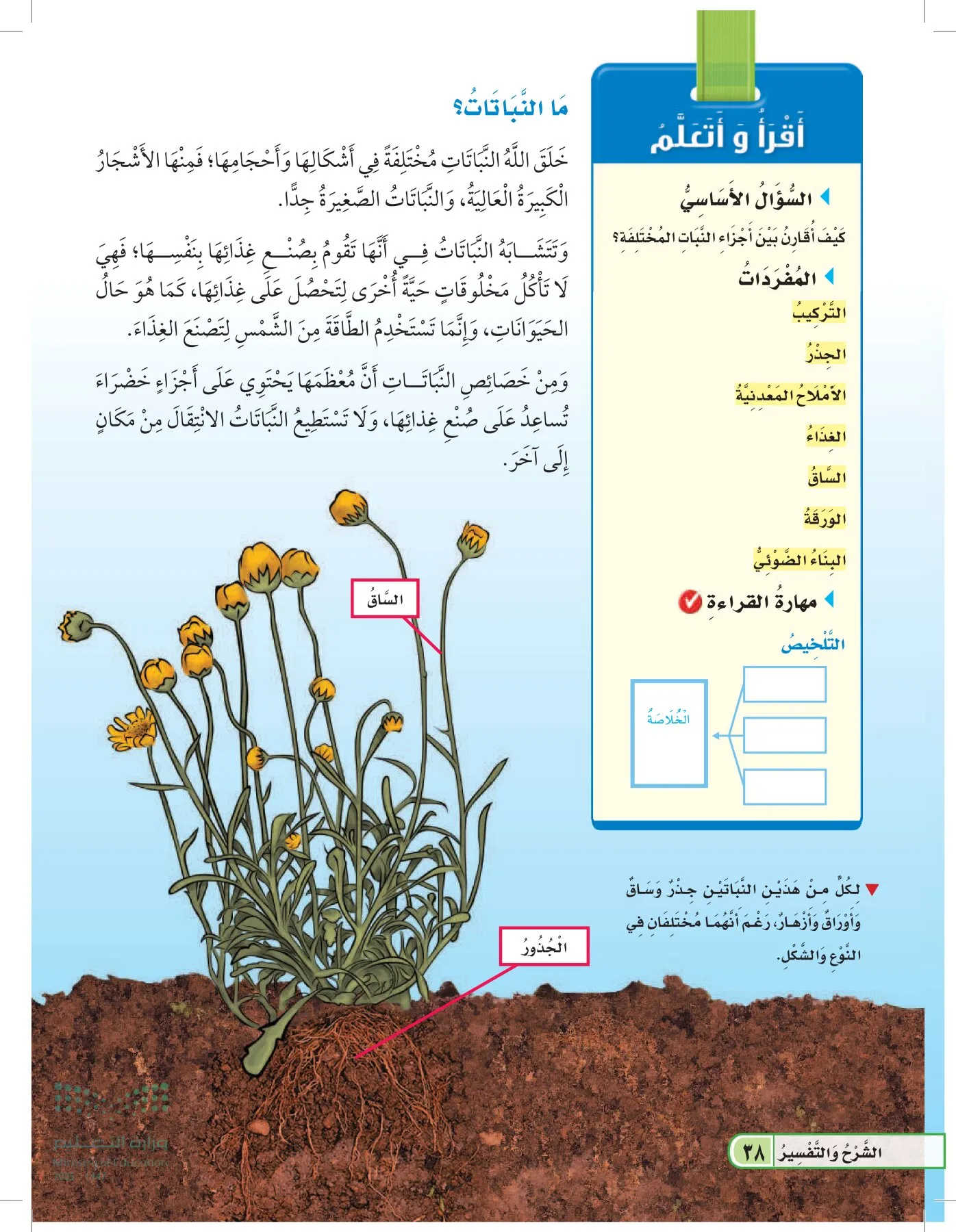 العلوم page-37