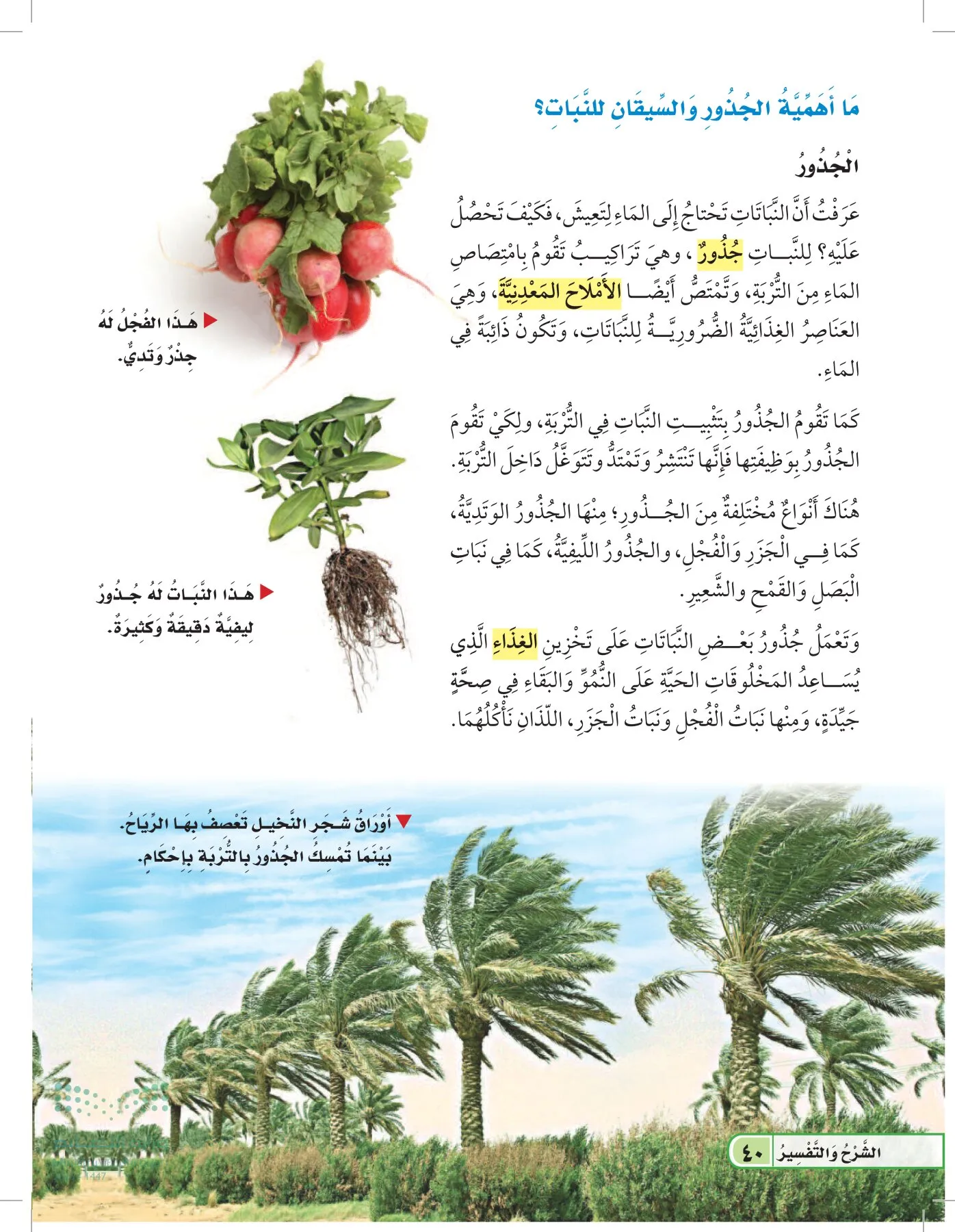 العلوم page-39