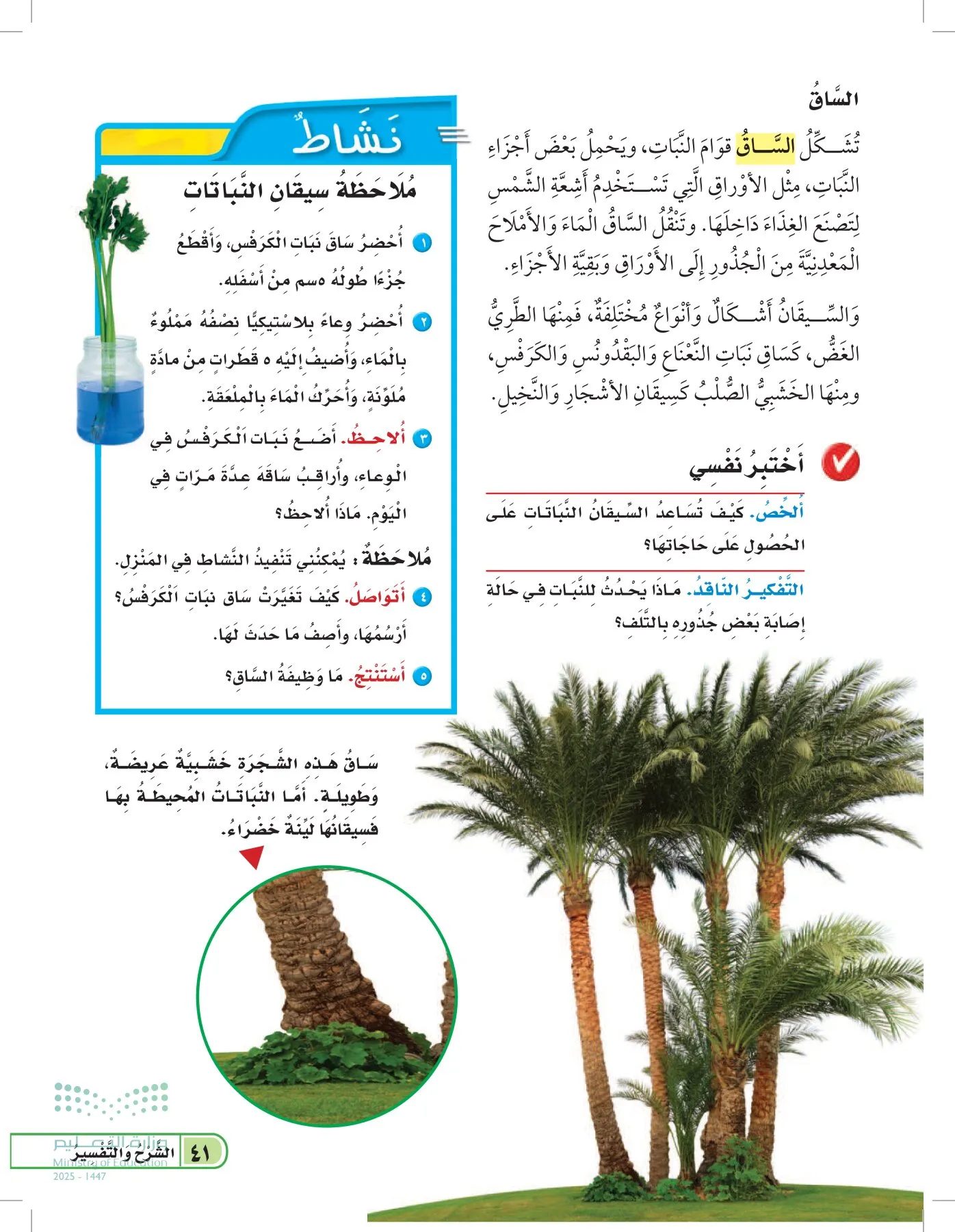 العلوم page-40