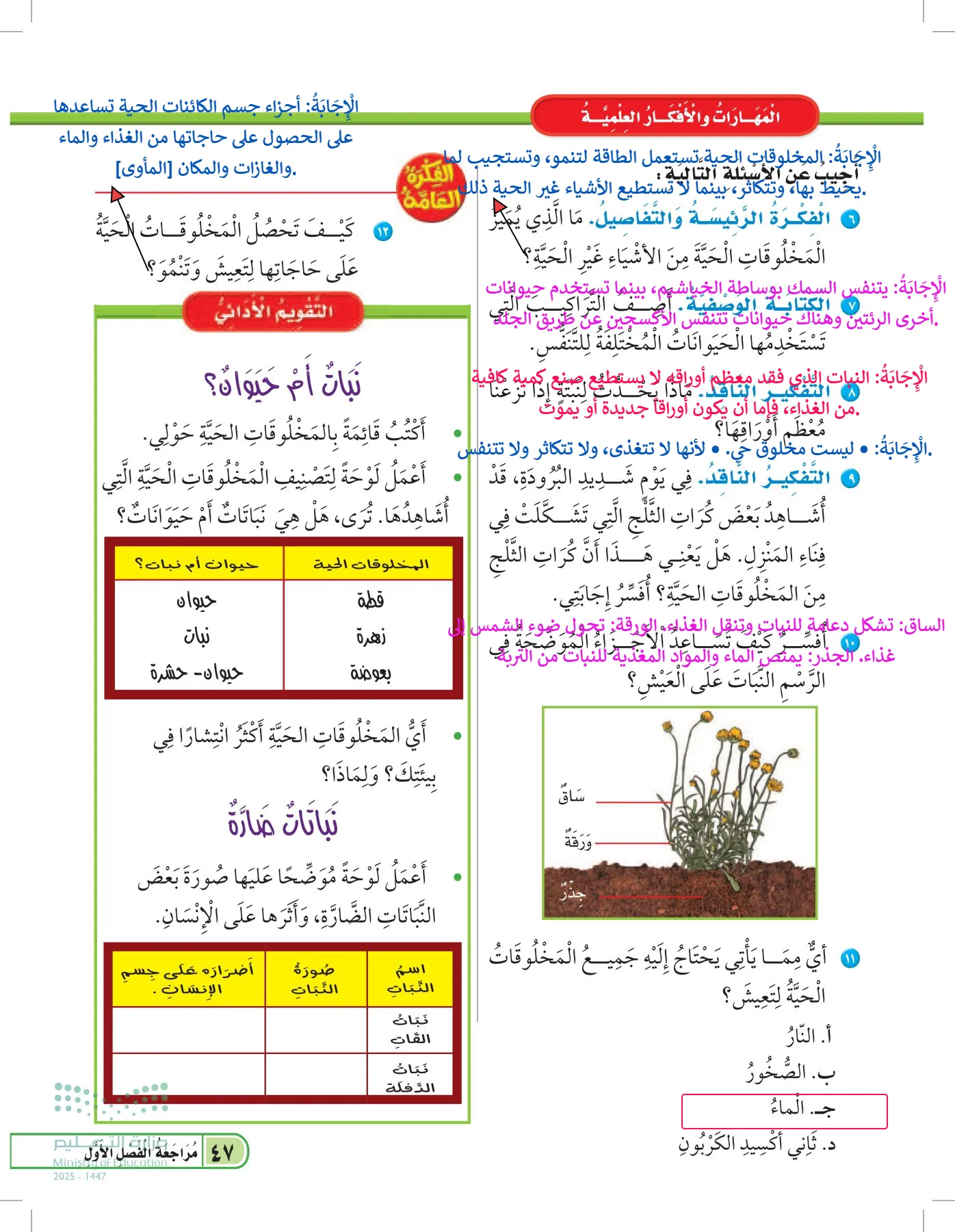 العلوم page-46