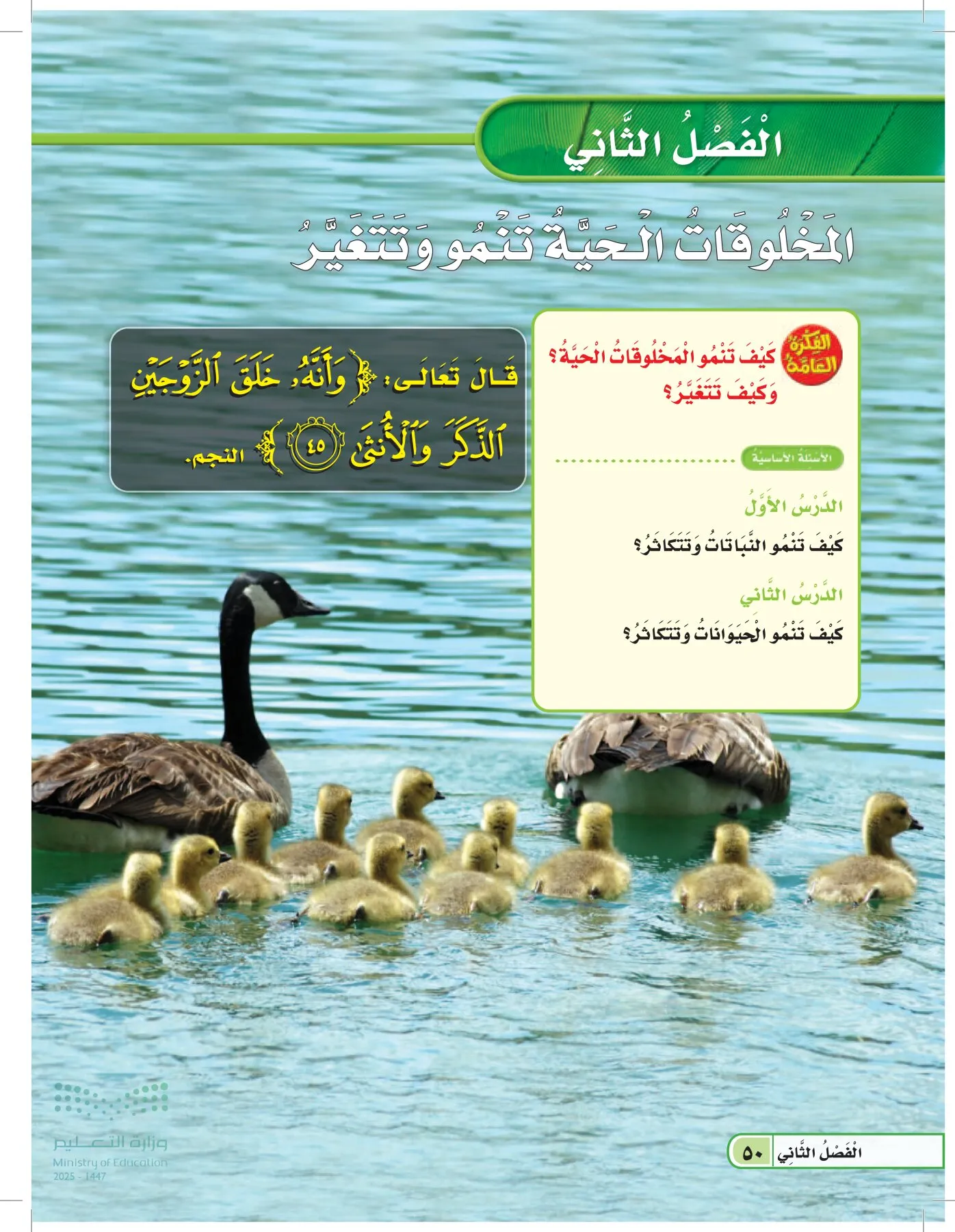 العلوم page-49