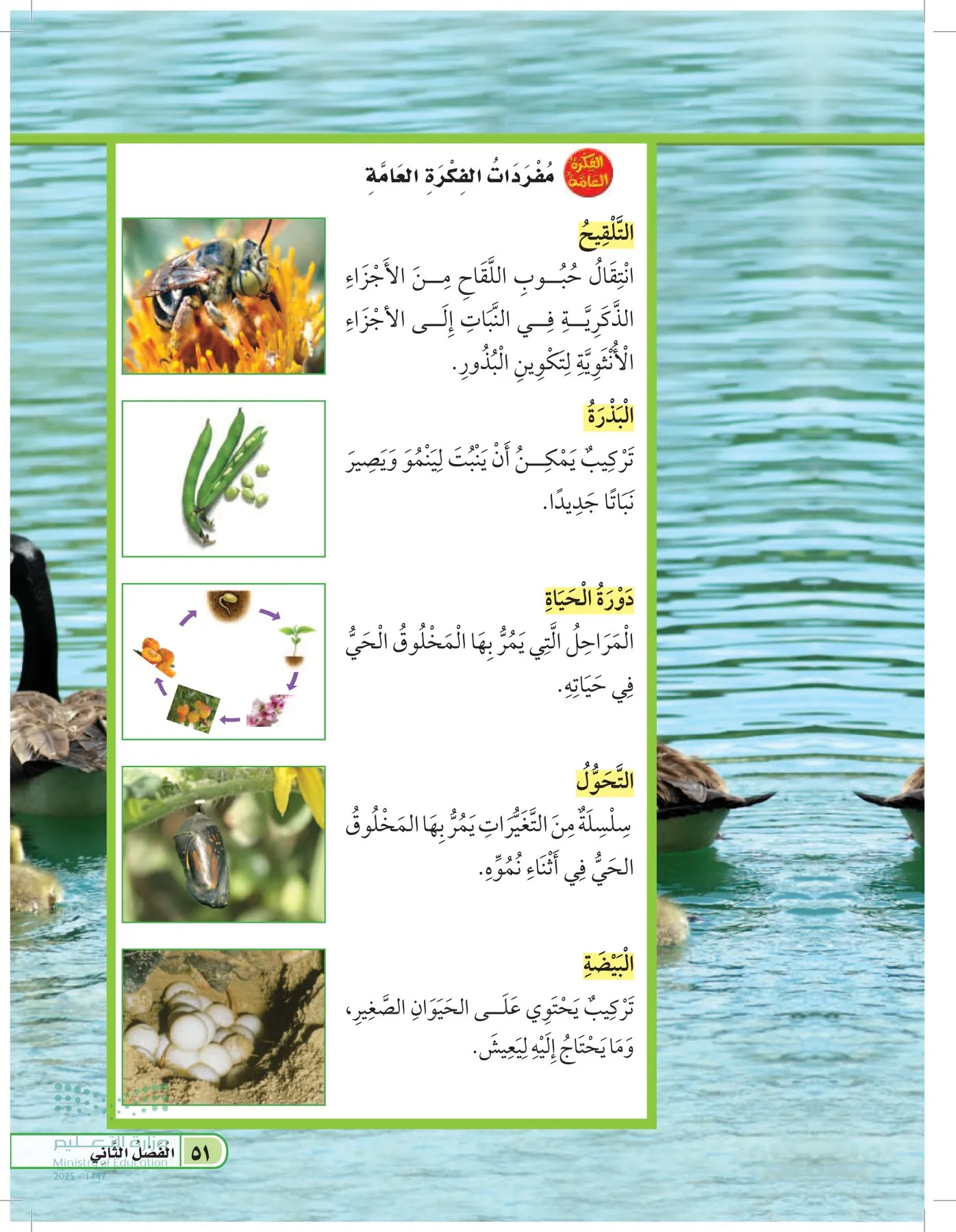 العلوم page-50