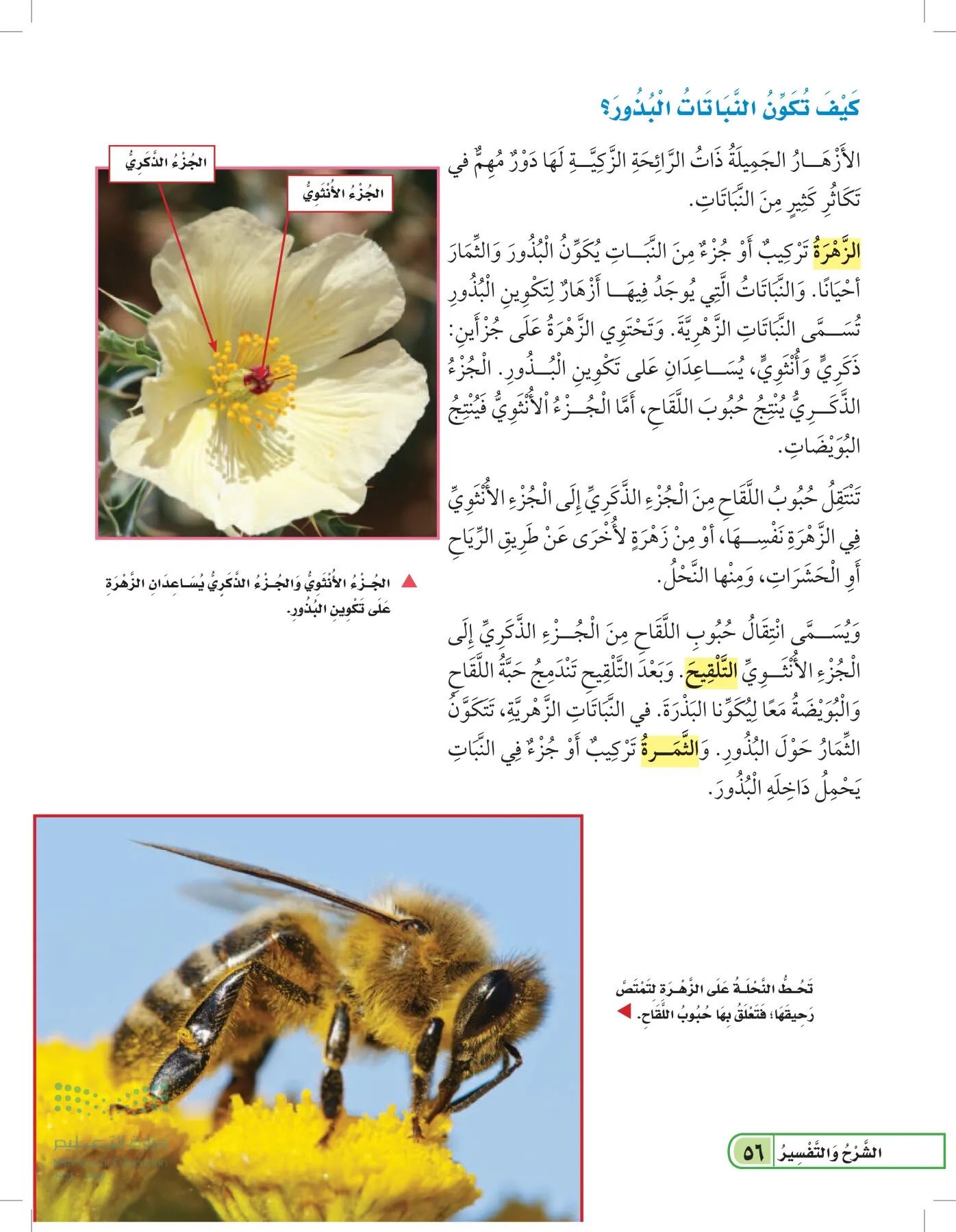 العلوم page-55