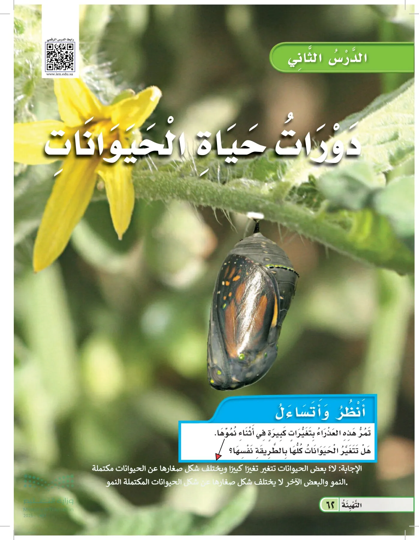 العلوم page-61