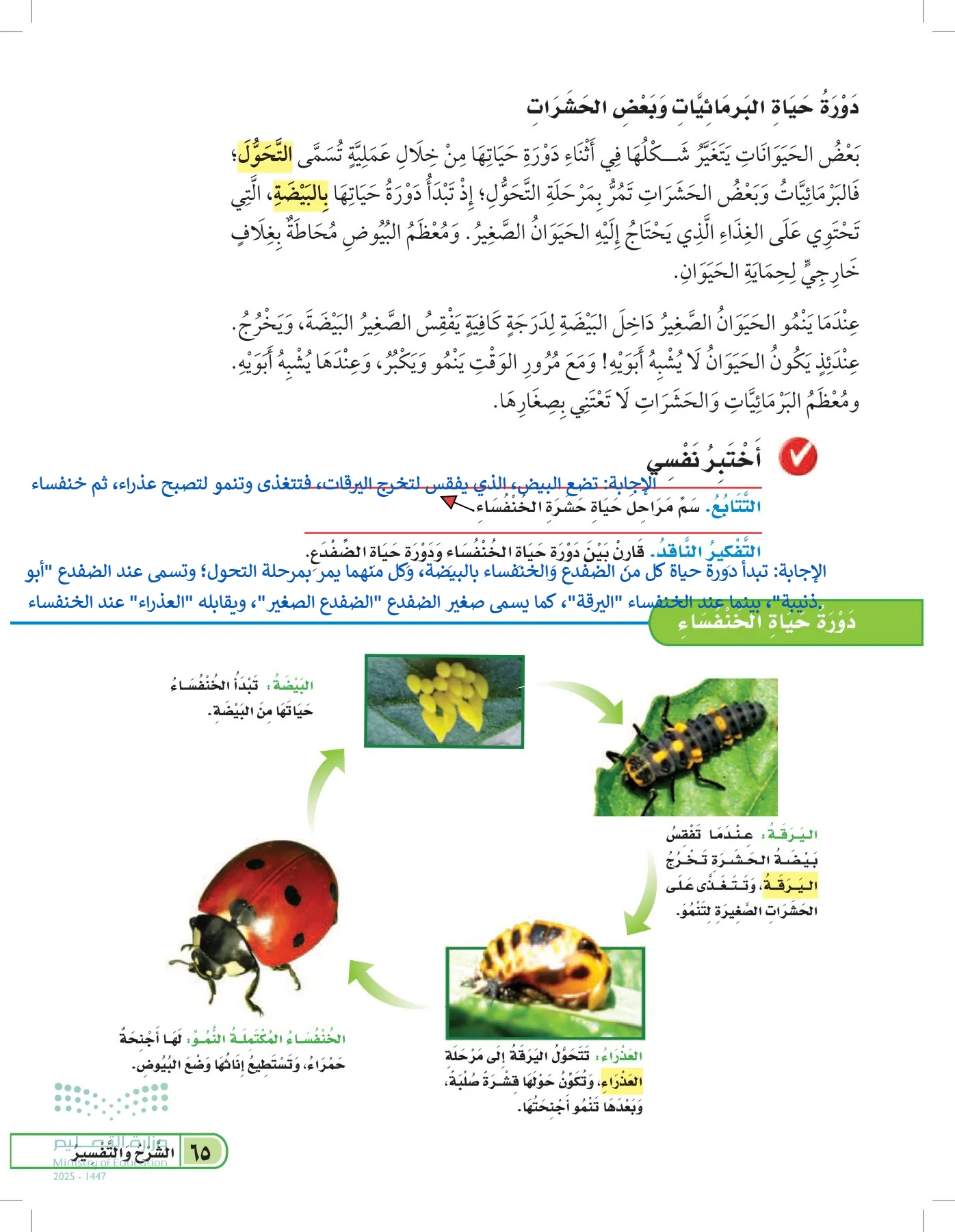 العلوم page-64
